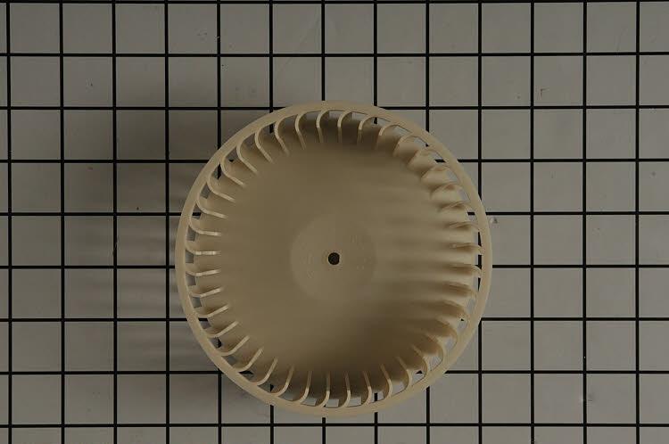 S51919000