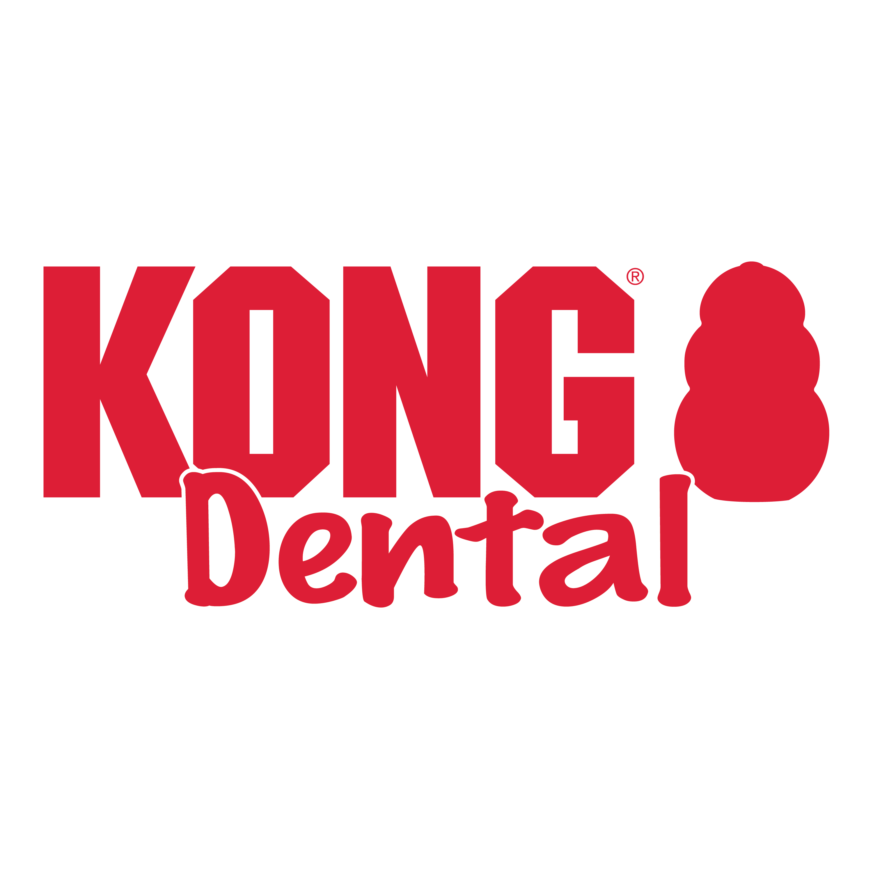 KONG Dental alt1 productafbeelding