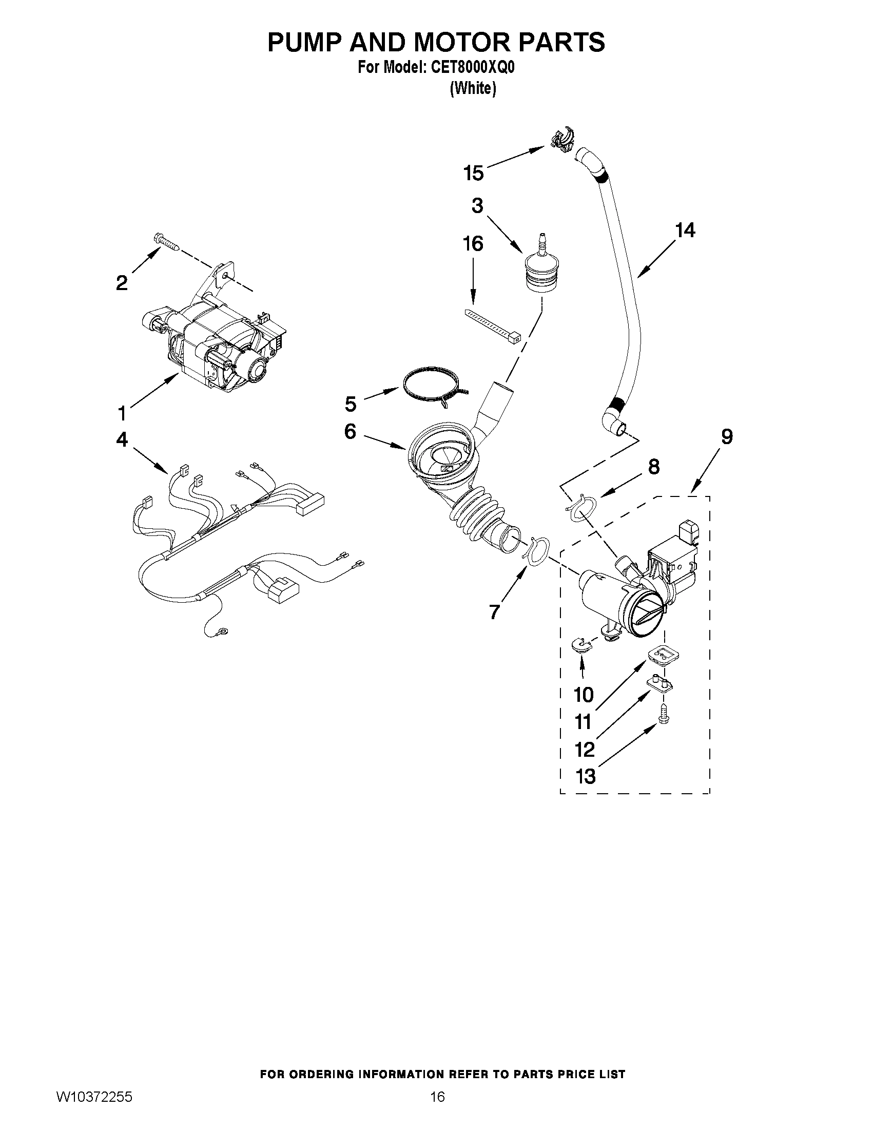 09 - PUMP AND MOTOR PARTS