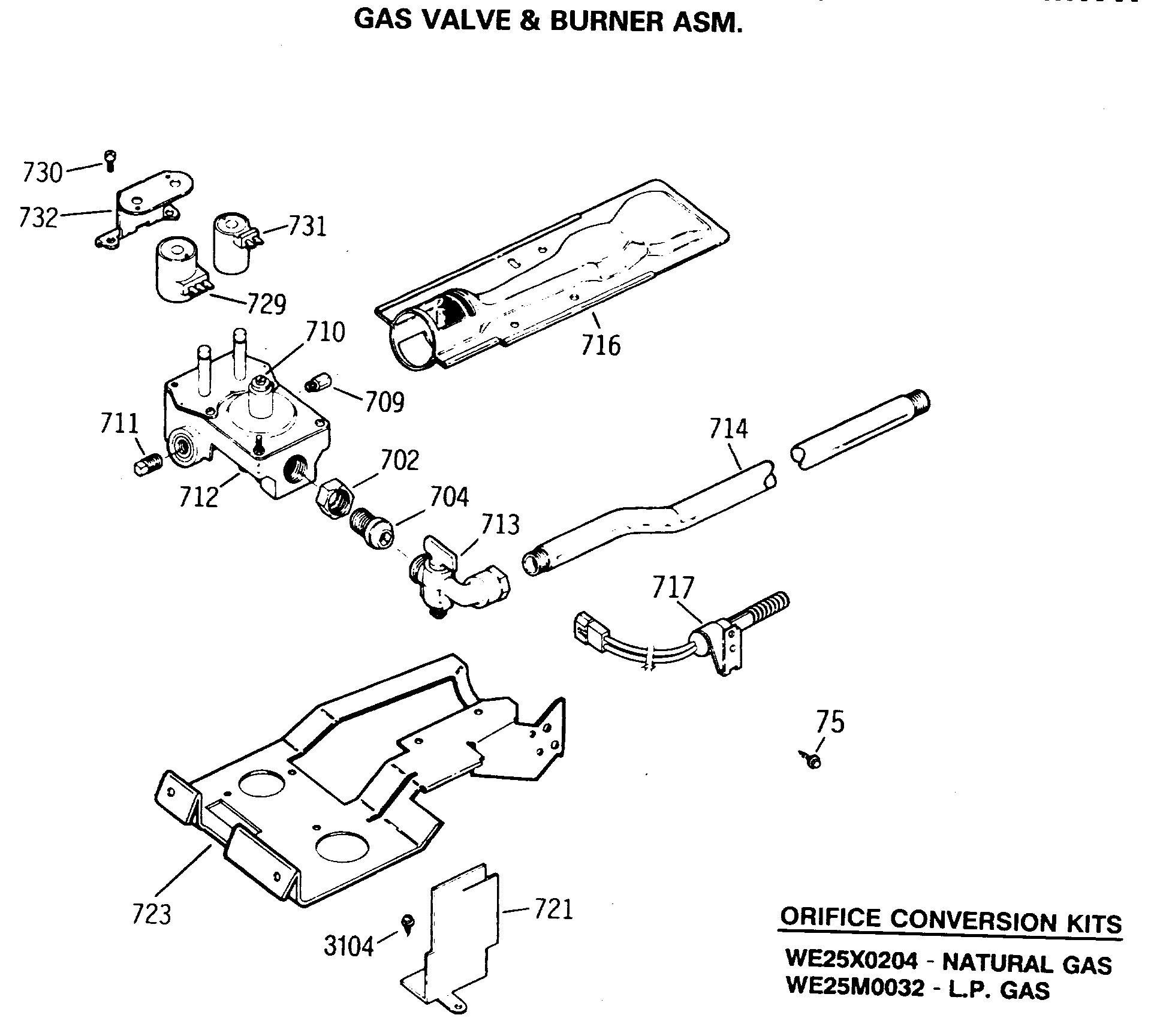 GAS VALVE & BURNER ASM.
