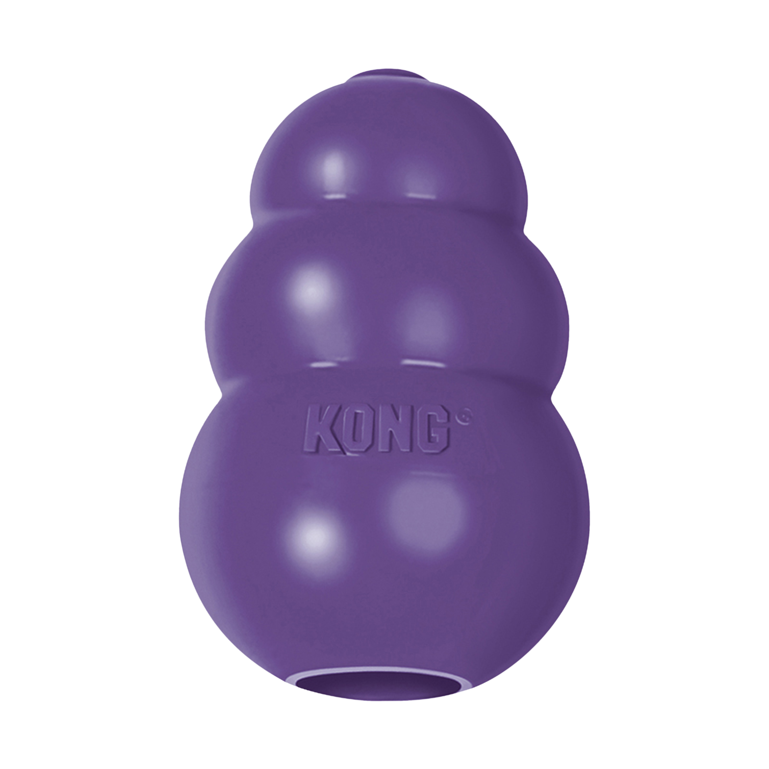 Kong pacifier hotsell