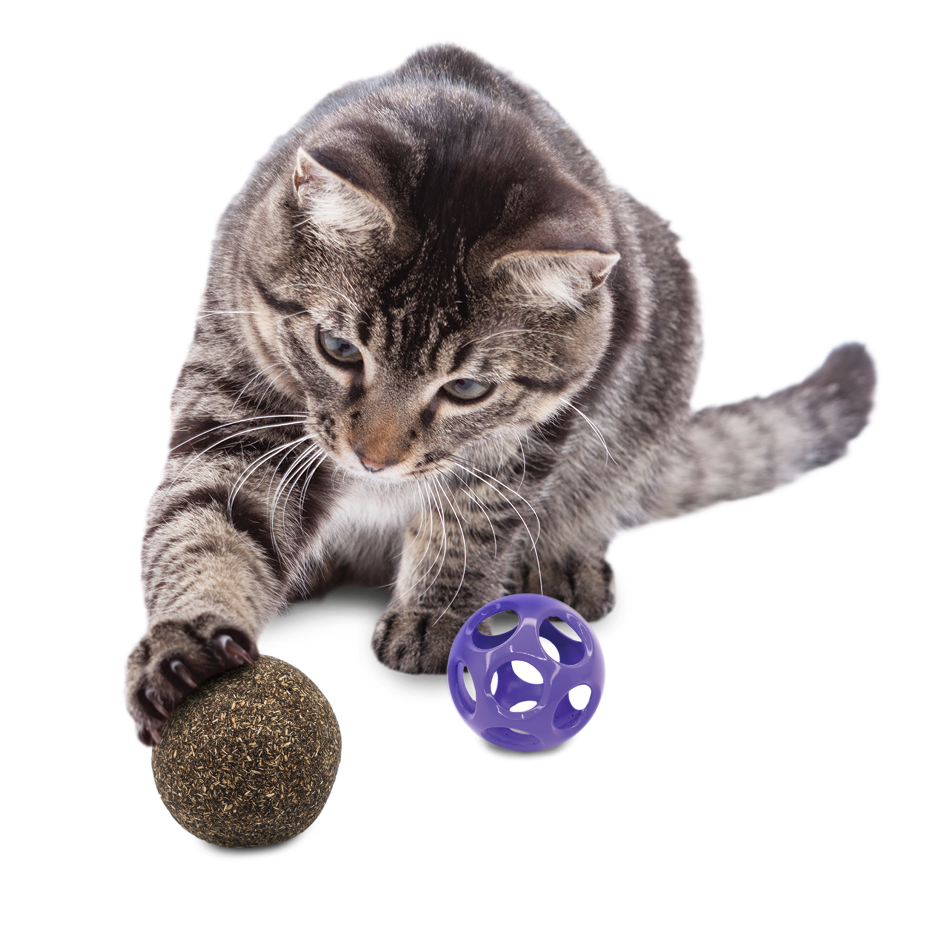 Blissy Moon Ball w/Catnip lifestyle product image