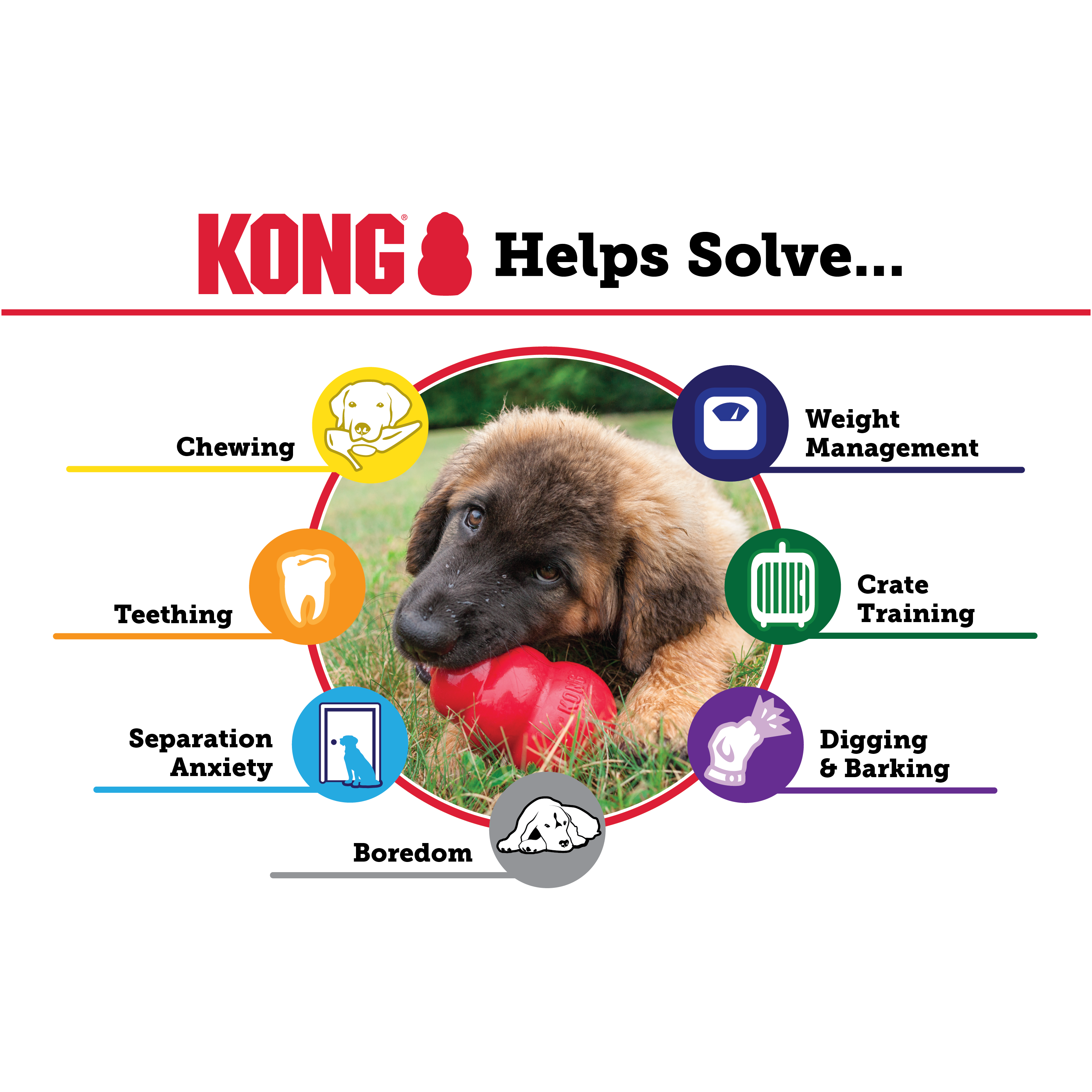 KONG Puppy educational2 Produktbild