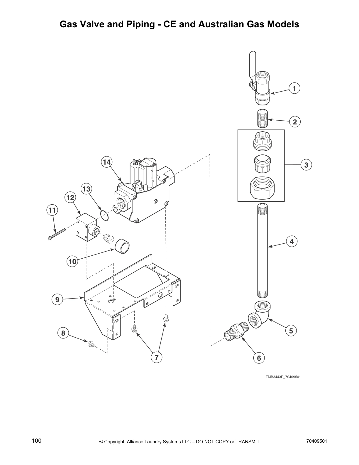 Gas Valve and Piping - CE and Australian Gas Models