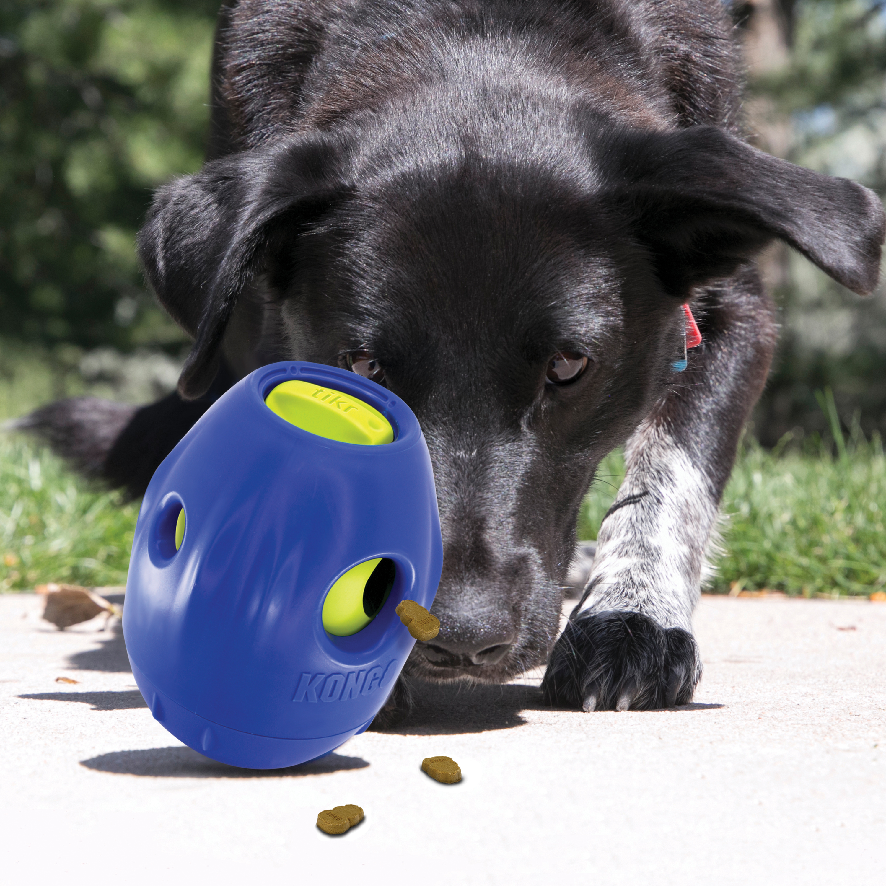 KONG Ballistic Hide n Treat Dog Toy Assorted MD