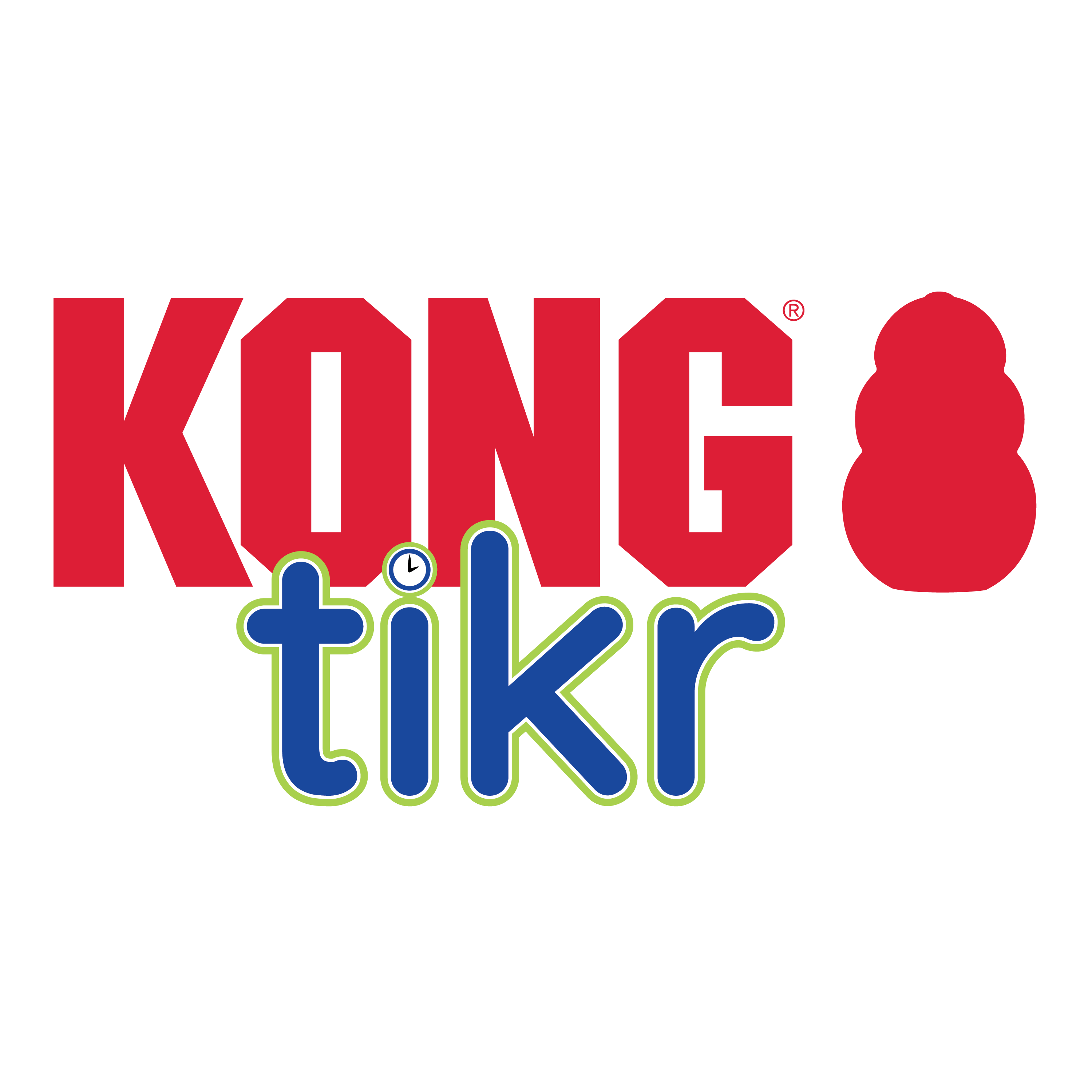 Kong Tikr Timer Activated Dog Treat Dispenser