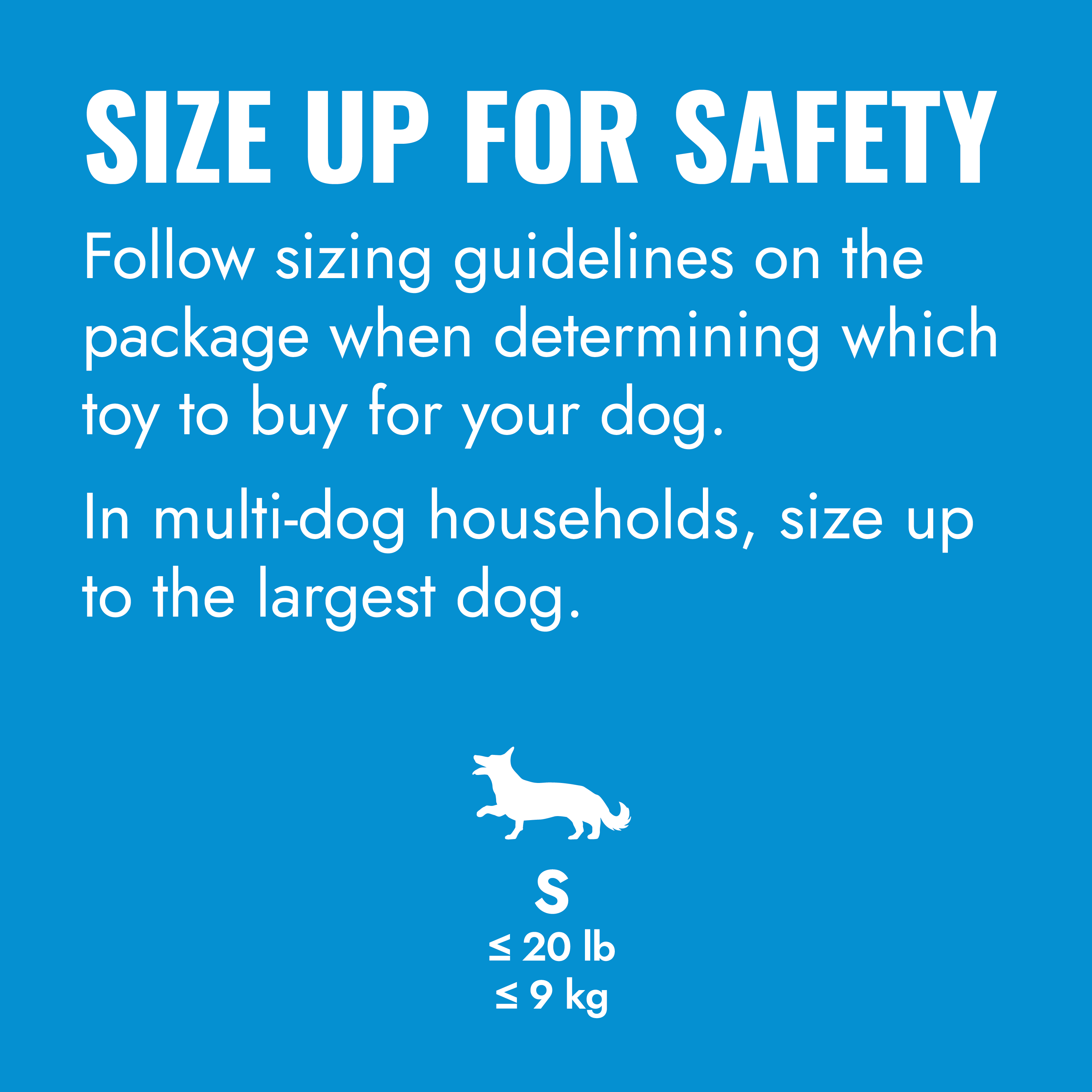 KONG Puppy Flyer educational1 product image