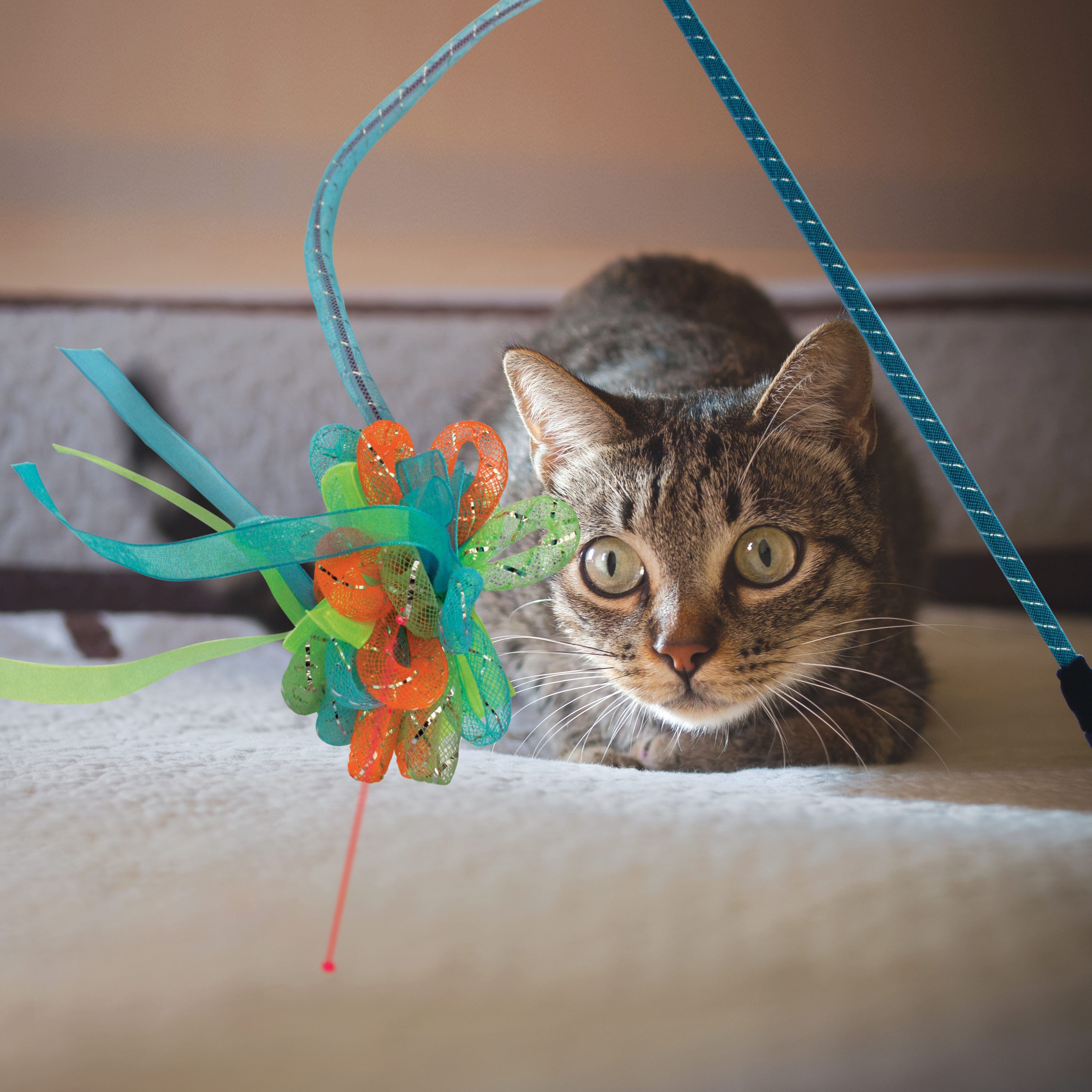 KONG Crisscross Cat Toy With Led Ball Multicolored, Medium