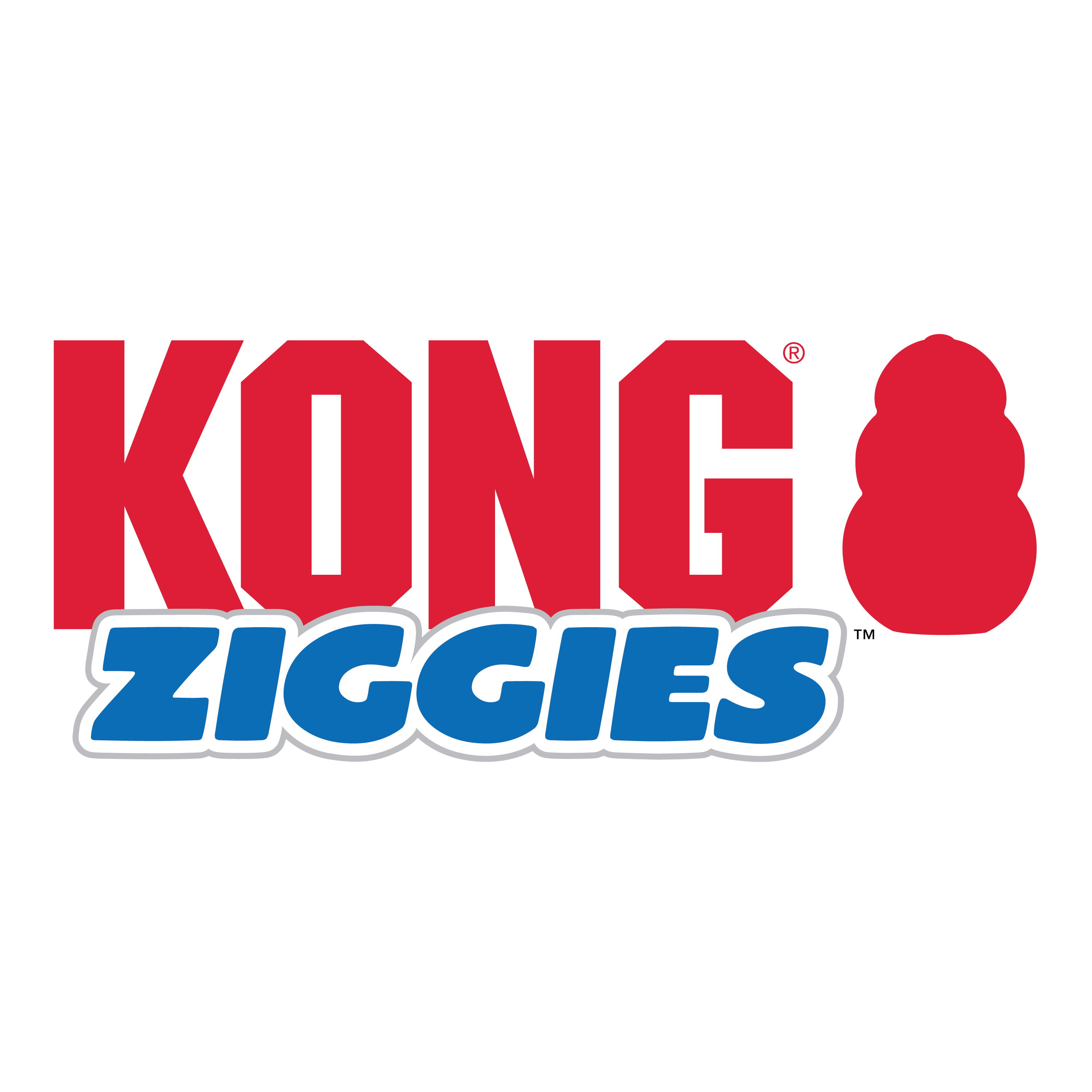 Kong store ziggies large