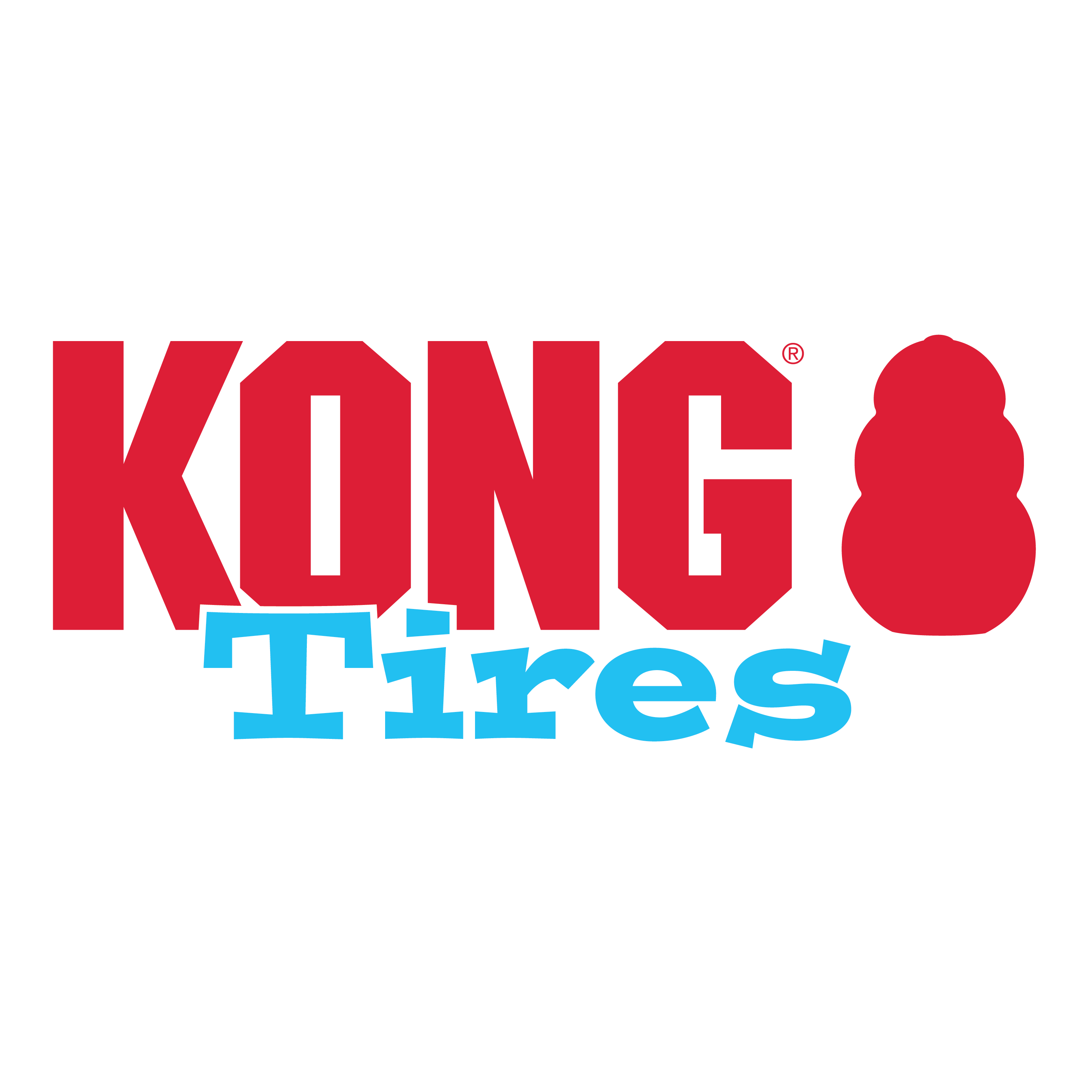 Kong tire outlet puppy