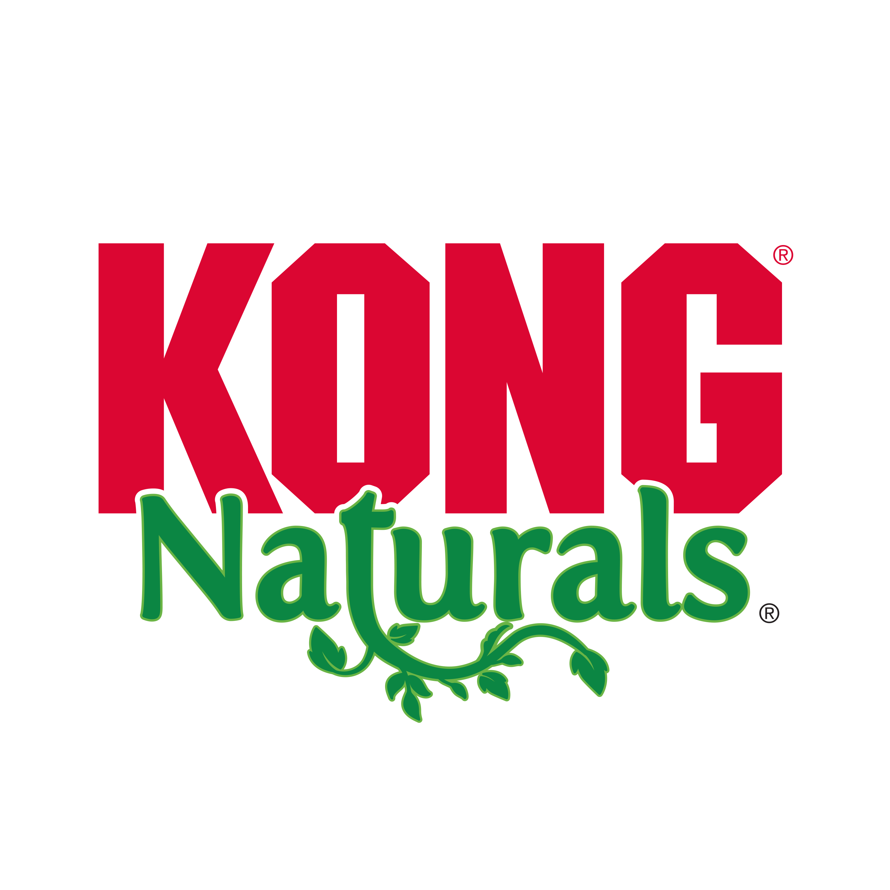 Naturals Teaser Fish alt1 product image