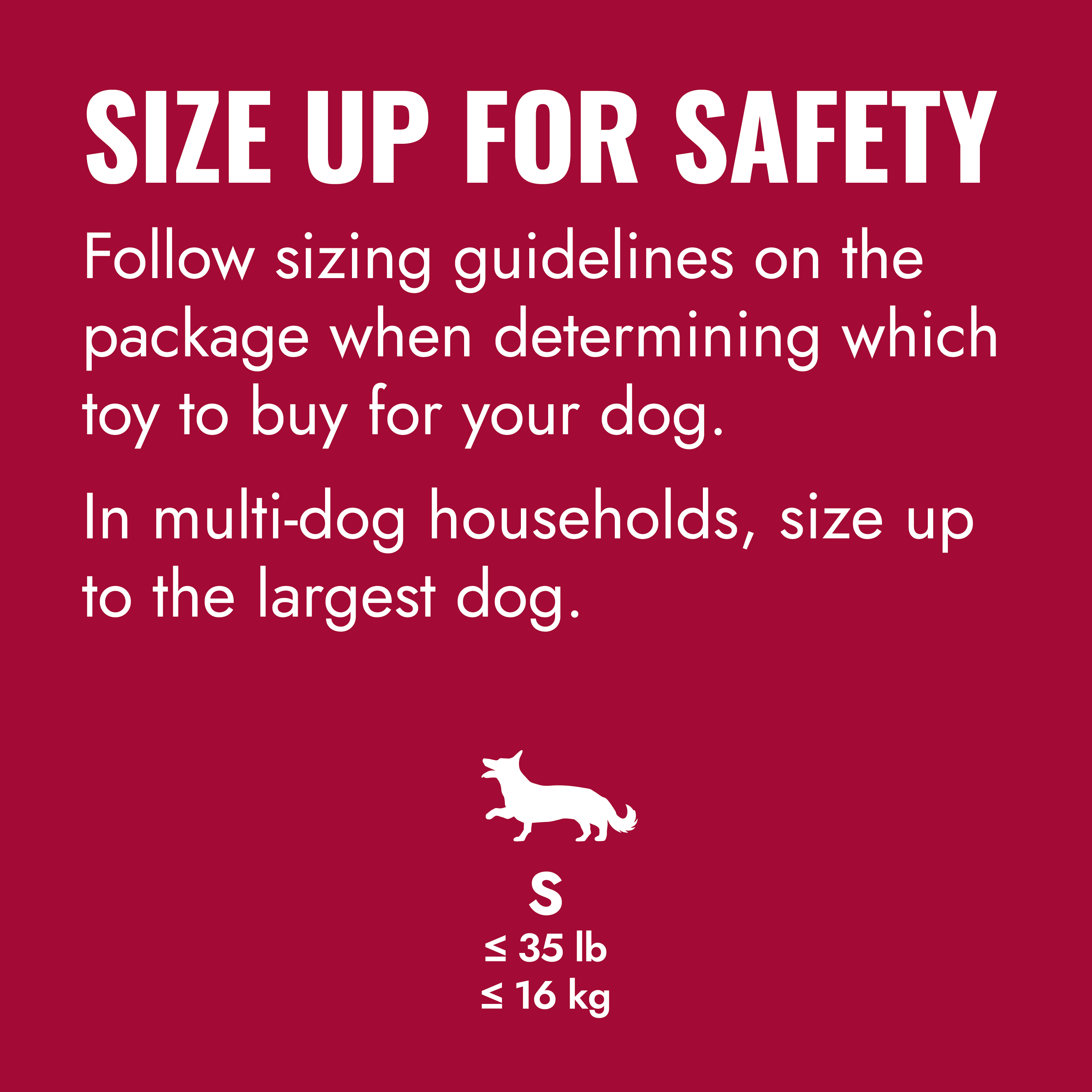 KONG Ball w/Rope educational1 product image