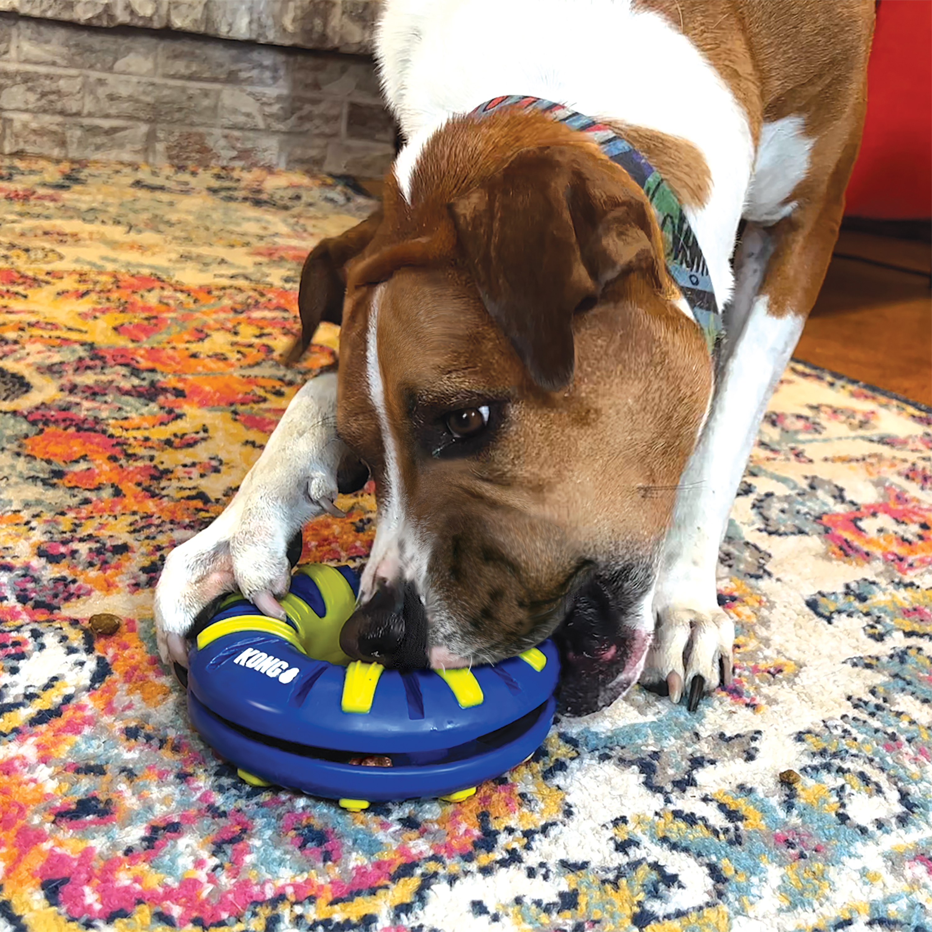 KONG Bamboo Feeder - Dog Treat Dispenser 