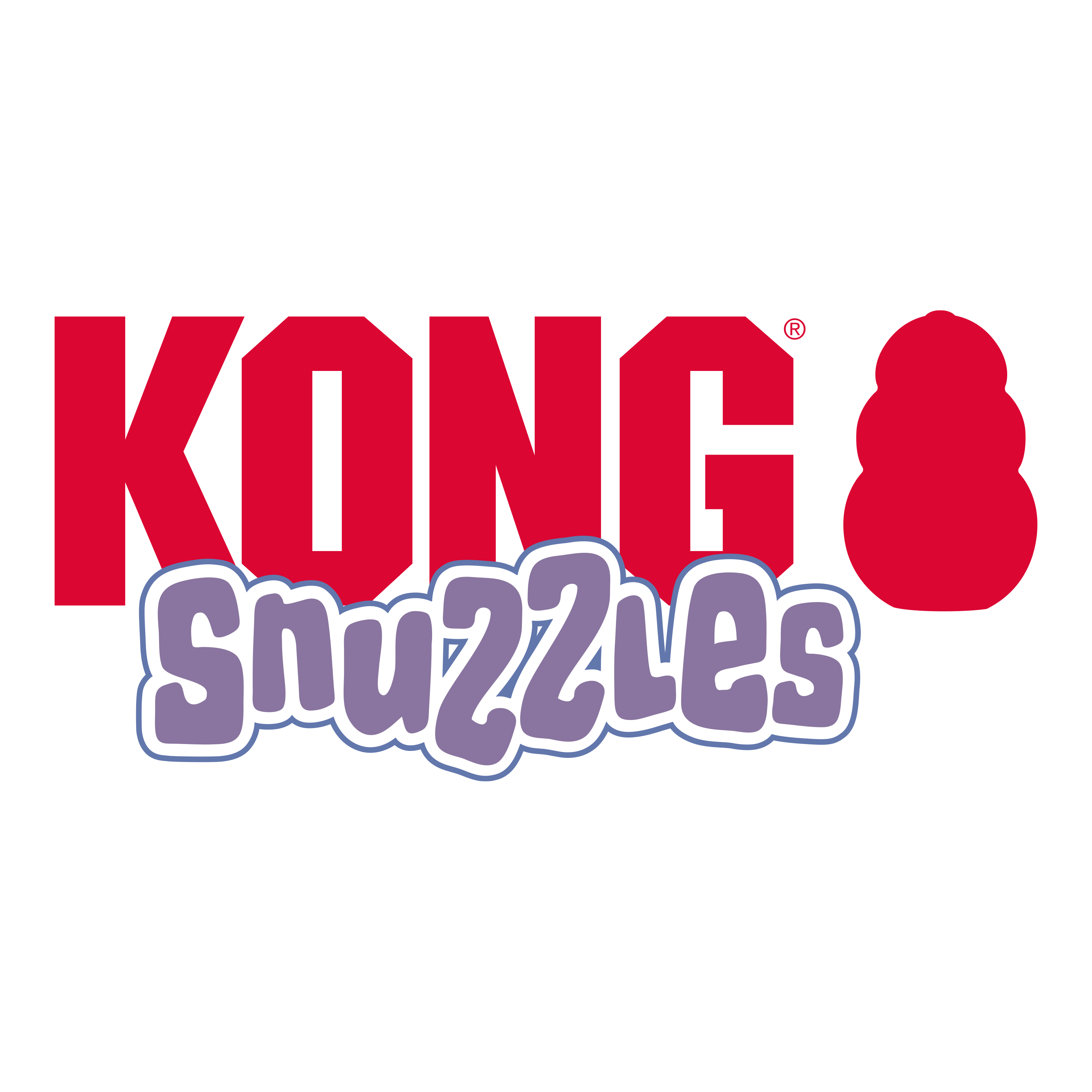 Kong Snuzzles Koala peluche para perros