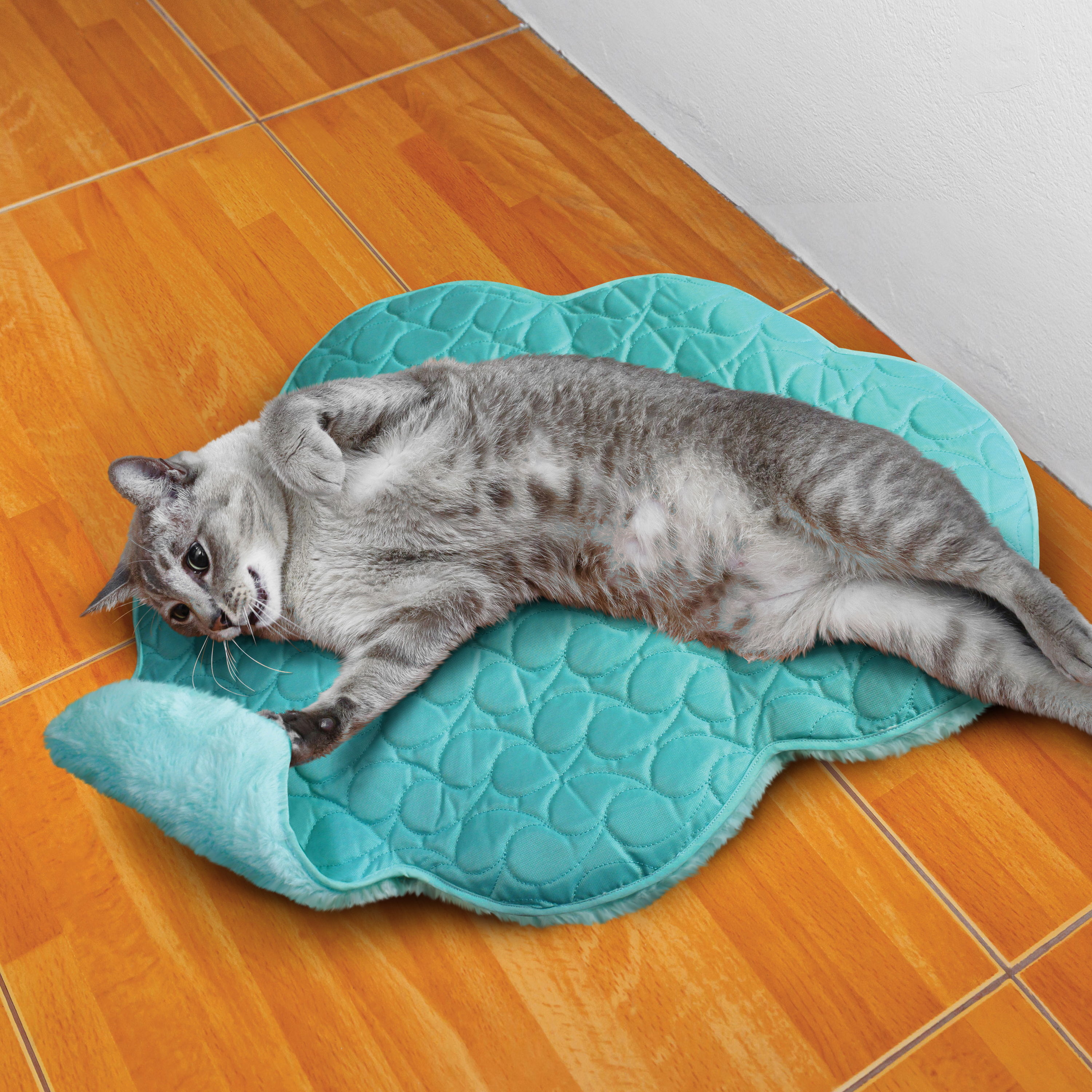 KONG Cat Play Mat - Puzzlements - Pets Plus
