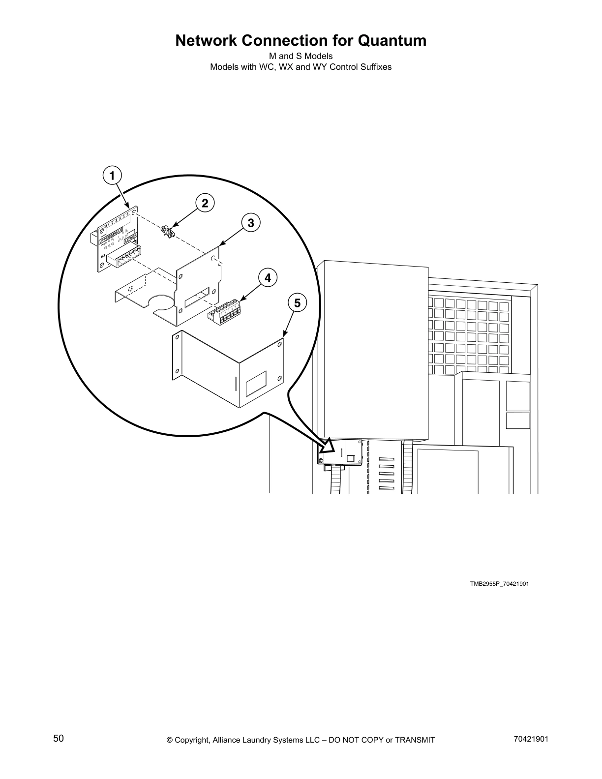 Network Connection for Quantum