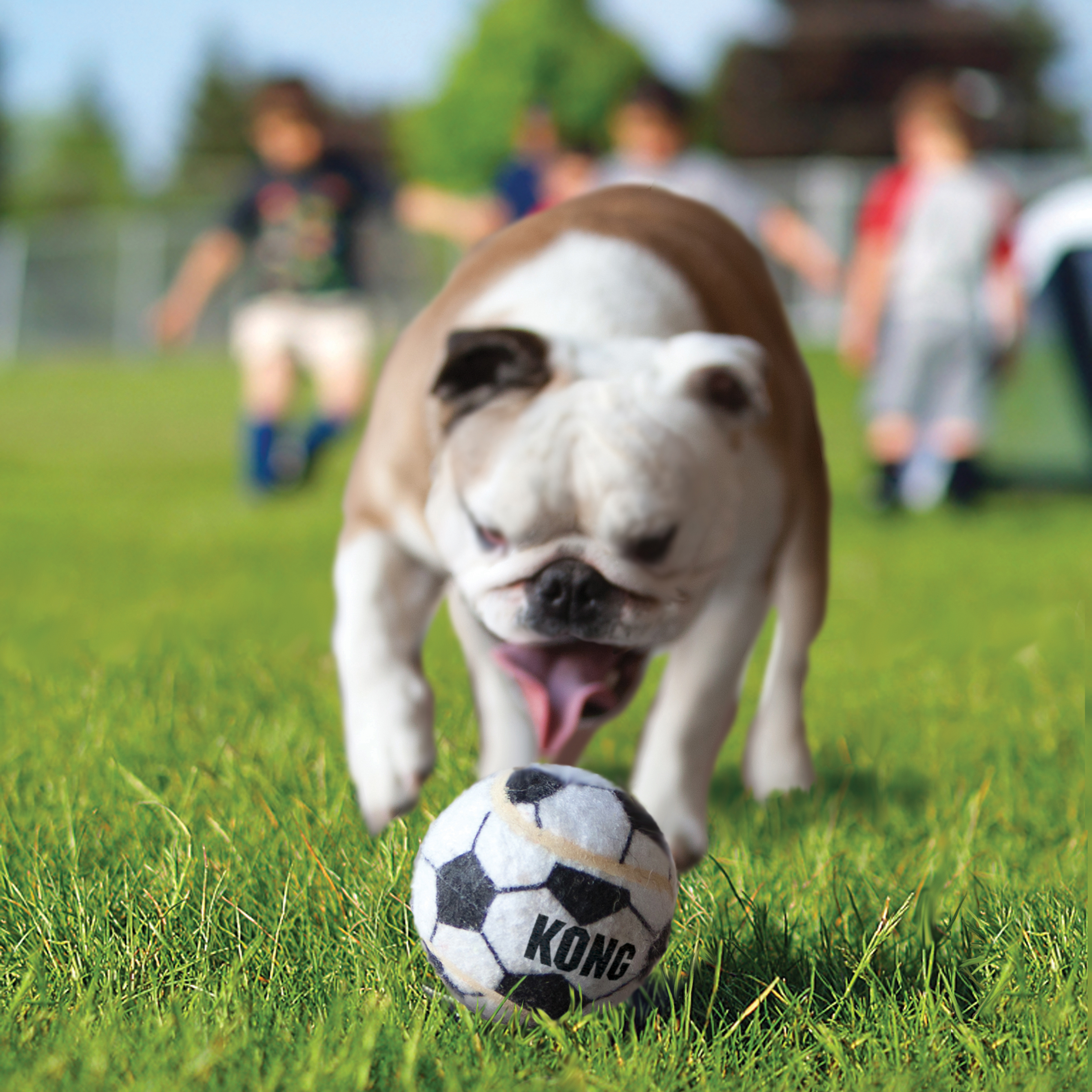 Sport Balls 3-pk életmód termékkép