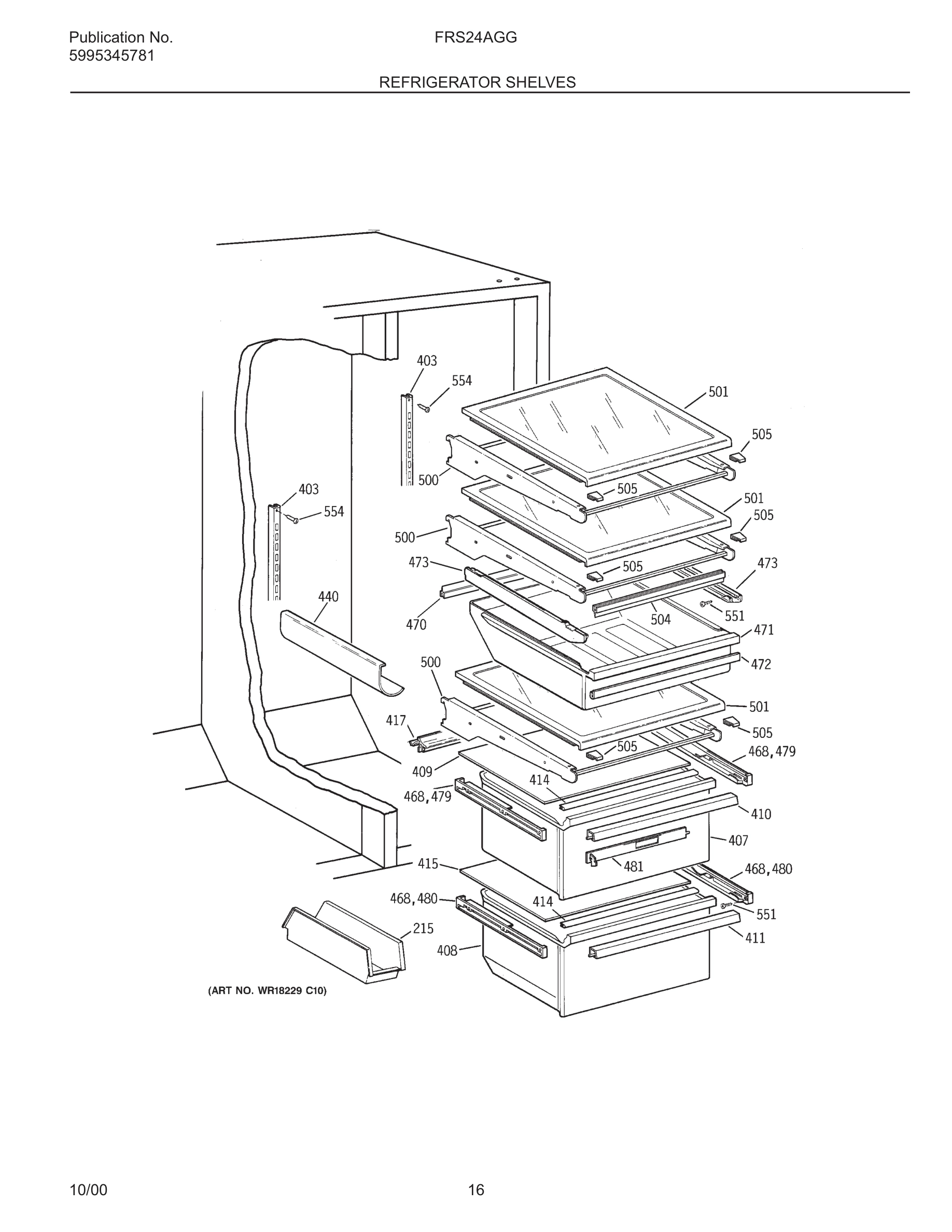 17 - REFRIGERATOR SHELVES