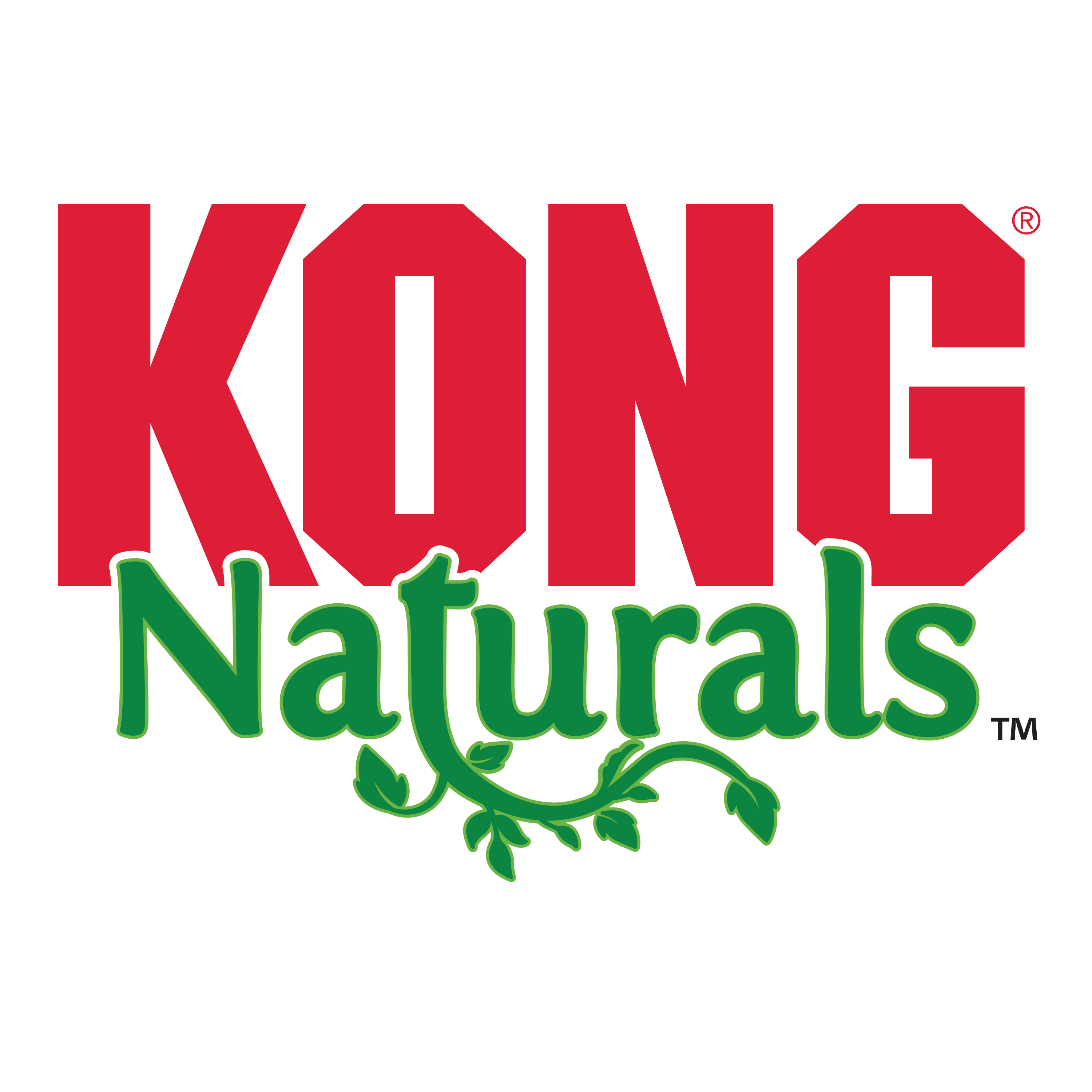 Kong Naturals Catnip Spray 1oz. - JRG Supply