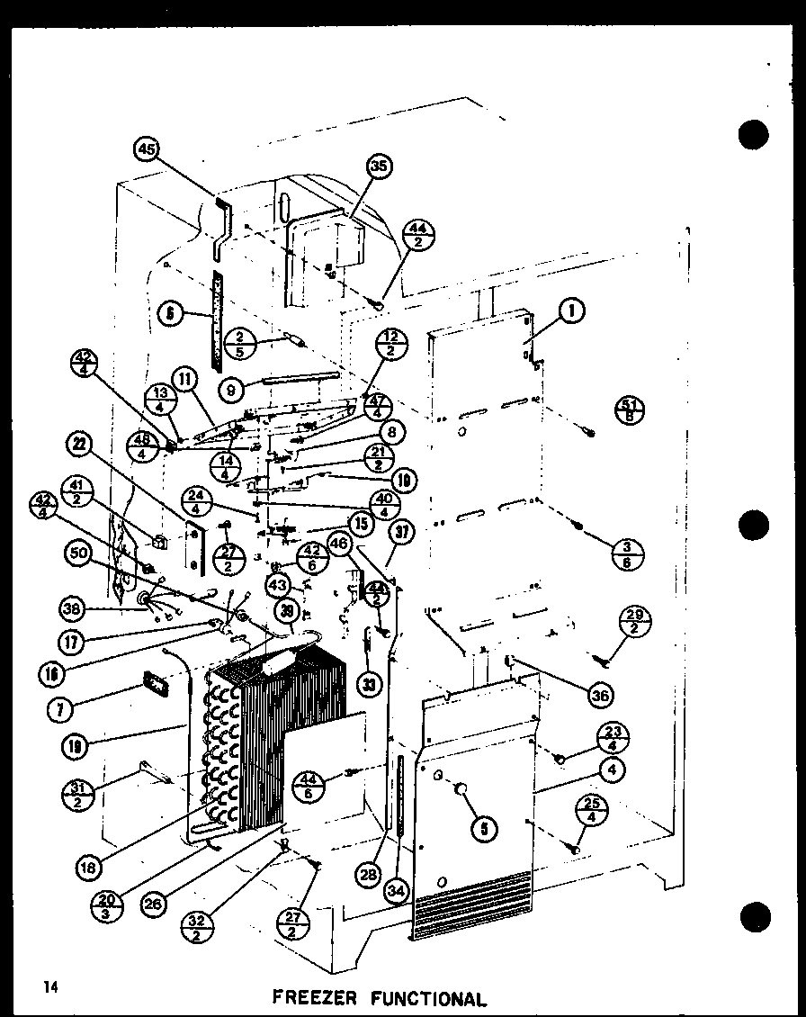 06 - FZ FUNCTIONAL