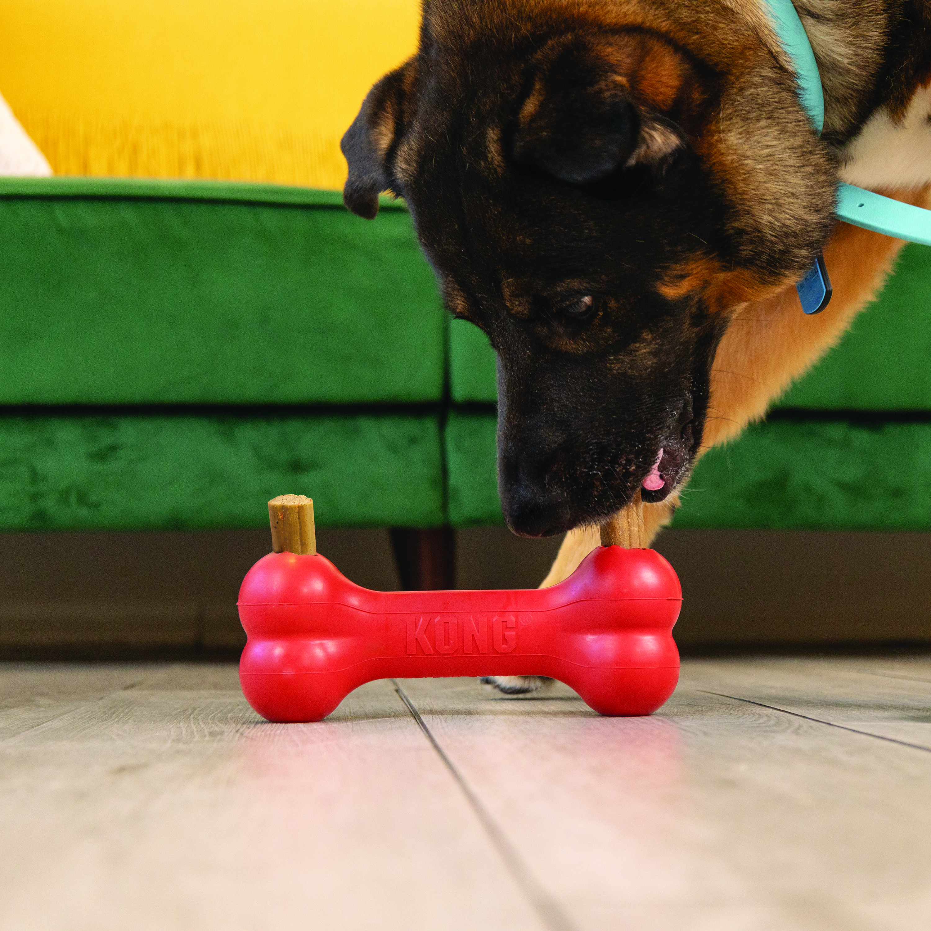 KONG Juguetes para perros juguetes para gatos y golosinas