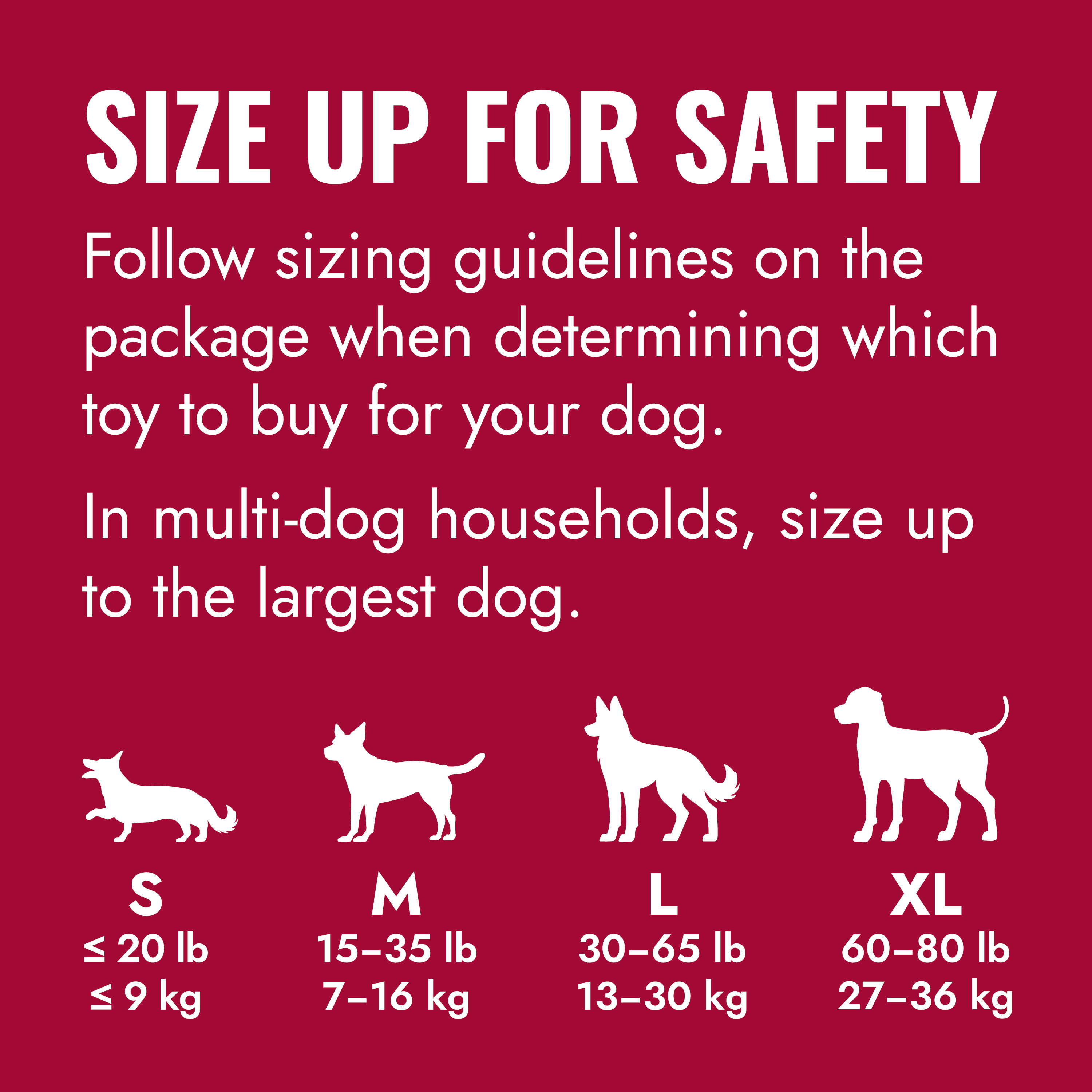 KONG Goodie Bone educational4 product image