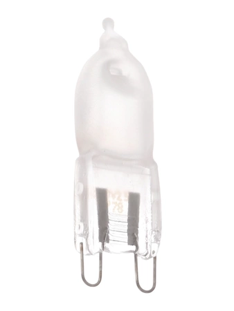 10032864 Bosch Halogen Lamp