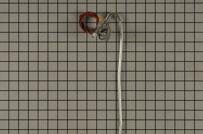 W11590248