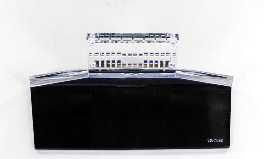 AAN75710007