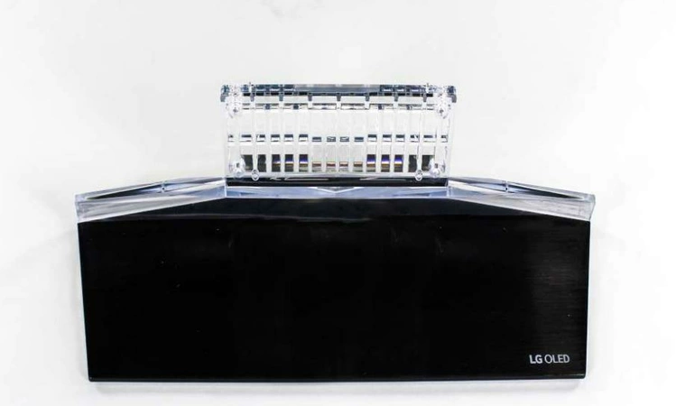 AAN75710007