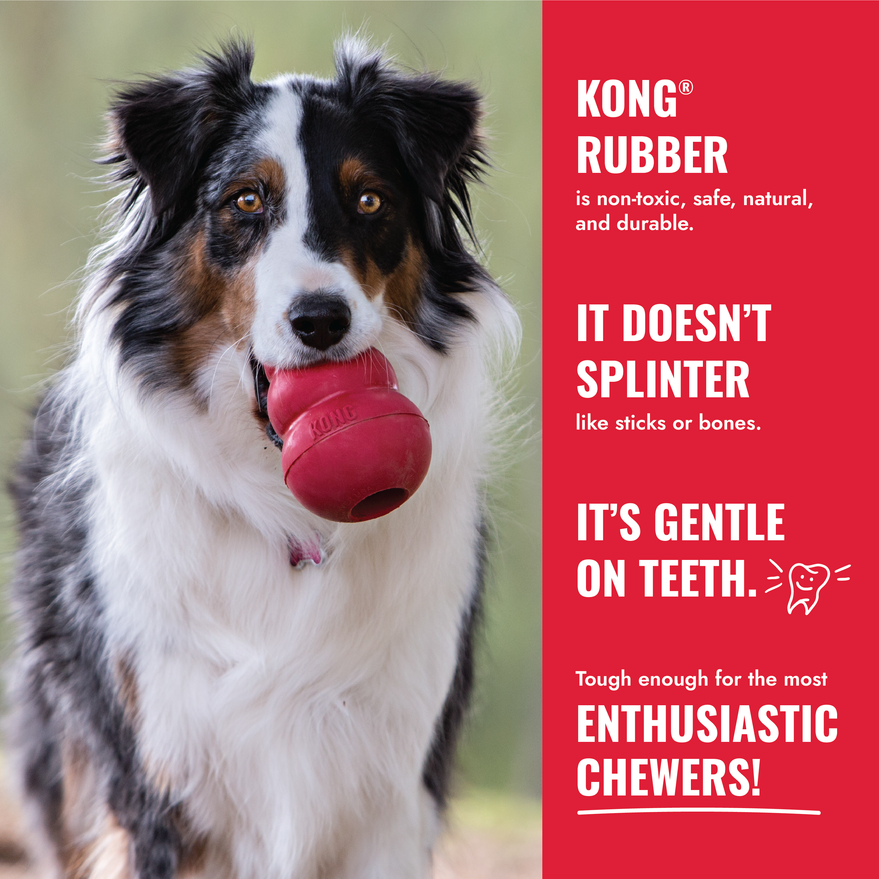 KONG Classic educational6 product image