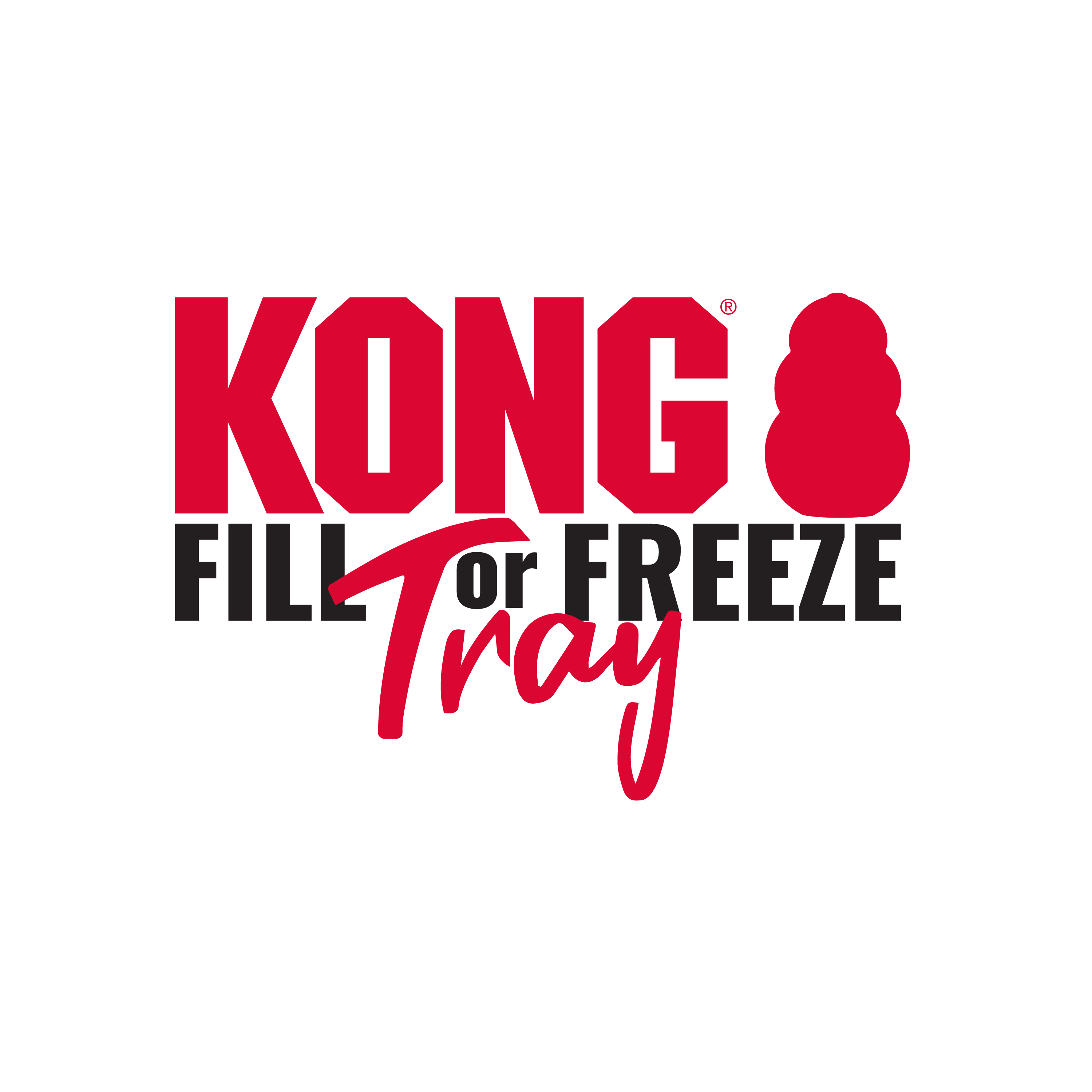 Kong freezer tray best sale