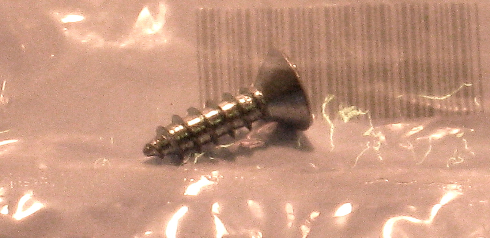 WP488920