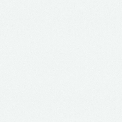 Galaxy white finish swatch