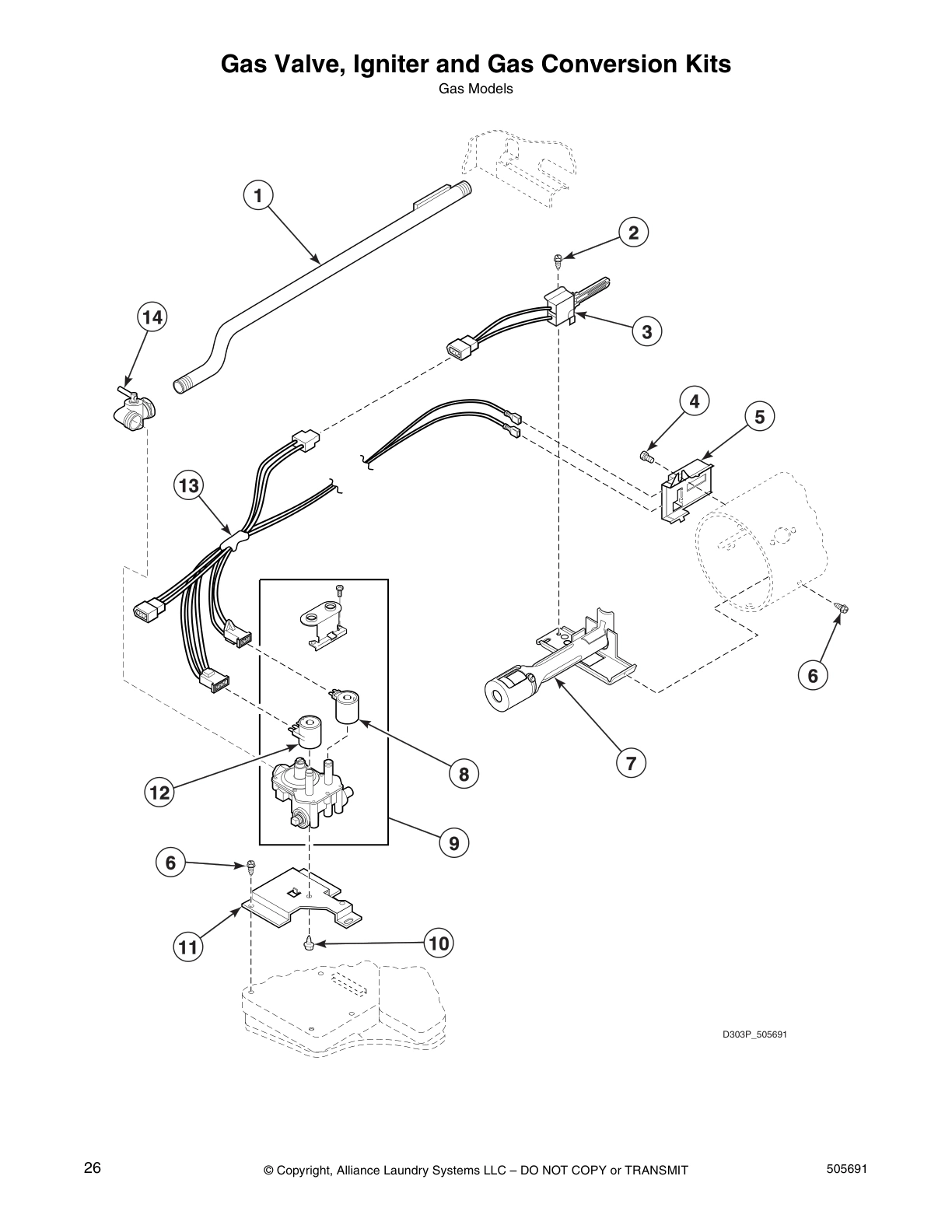 Gas Valve, Igniter and Gas Conversion Kits