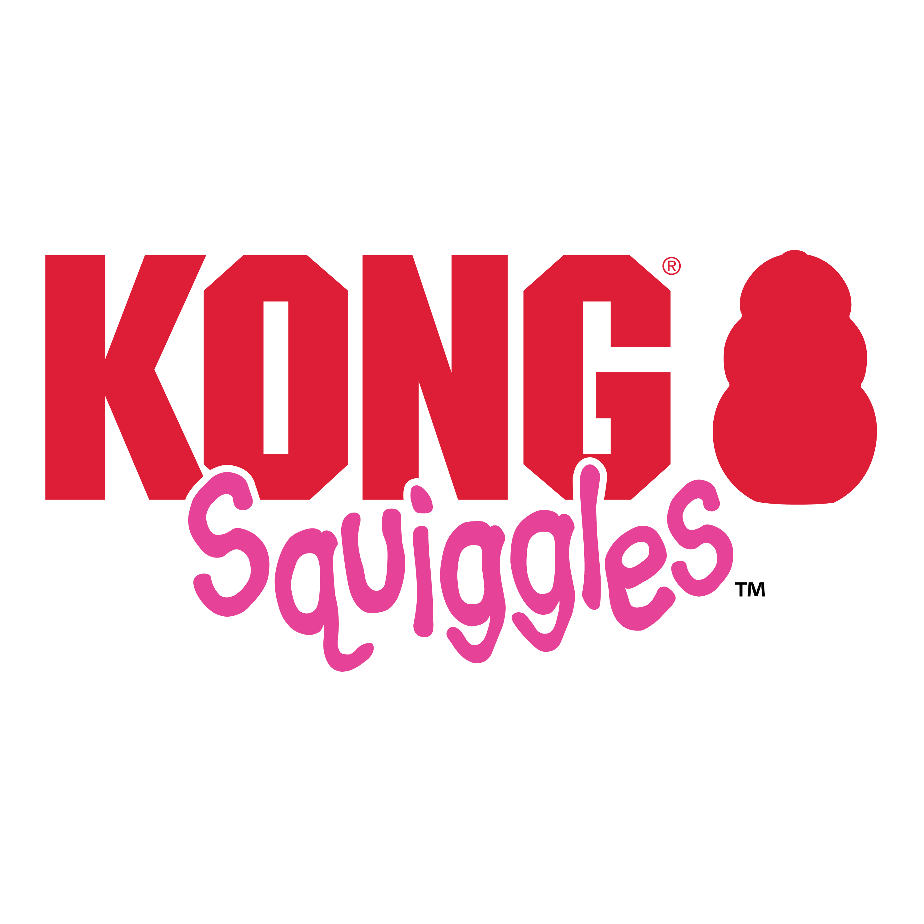 Kong squiggles outlet large