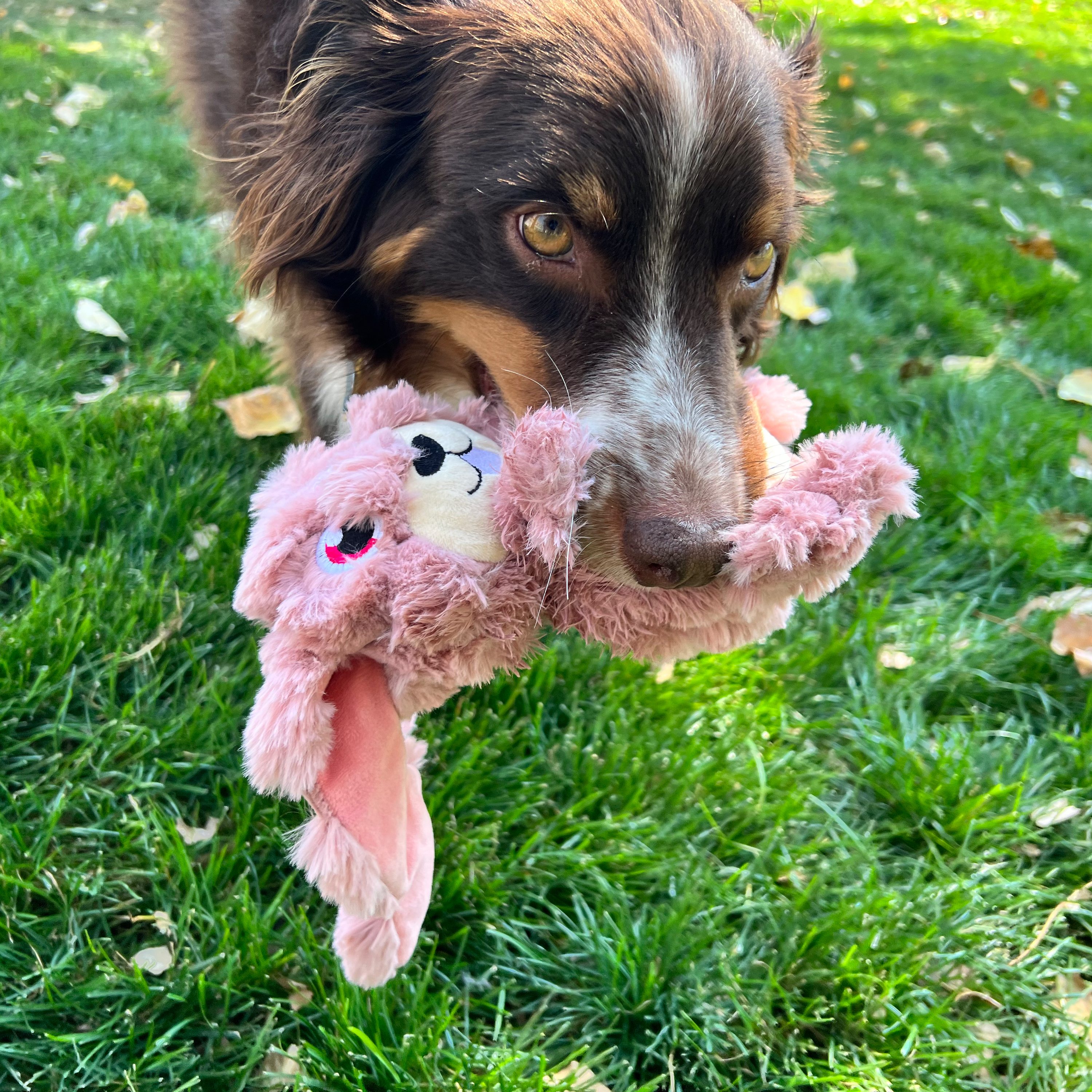 Kong Scrumplez Bunny Dog Toy Kong Scrumplez Bunny Dog Toy