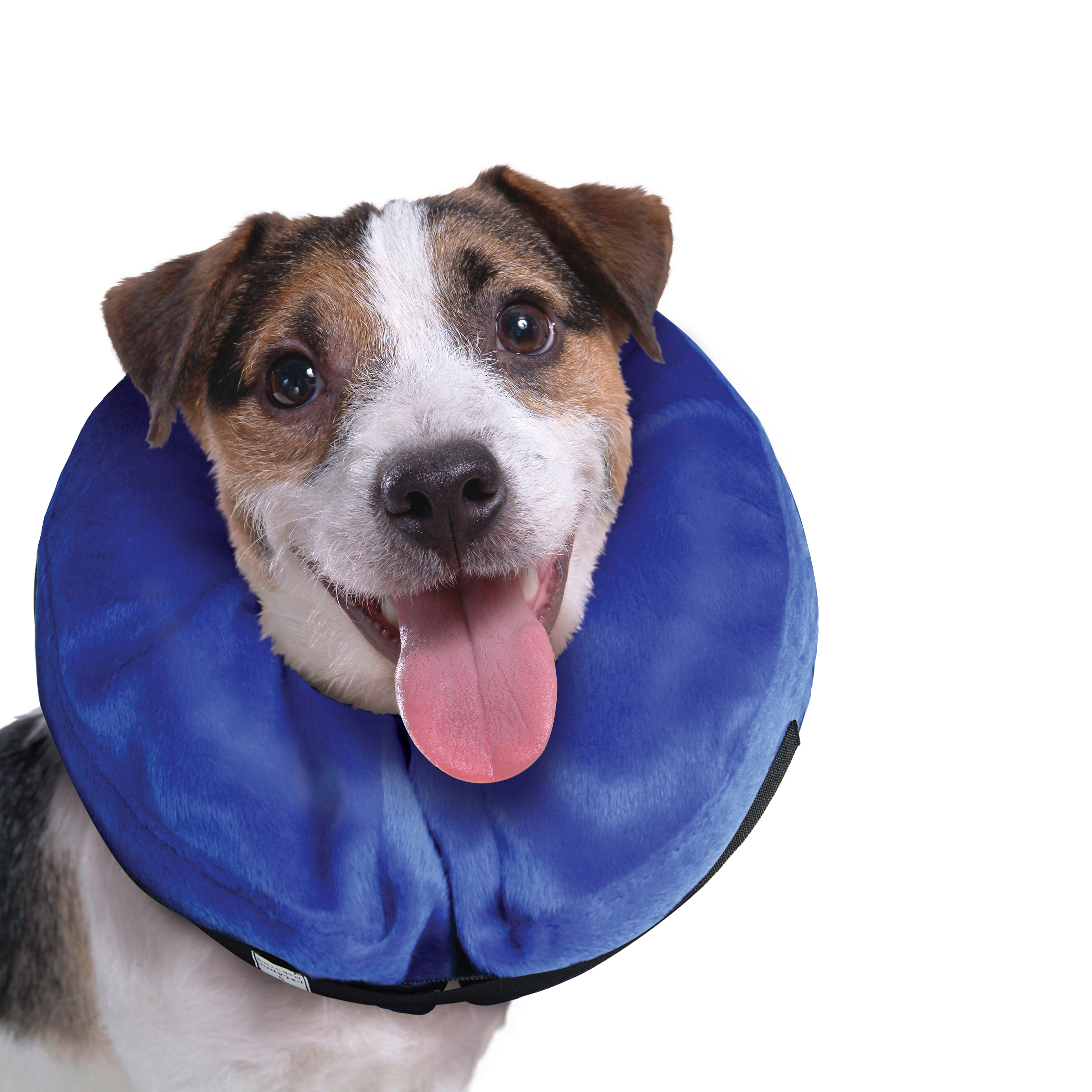 Image du produit E-Collar Cloud lifestyle