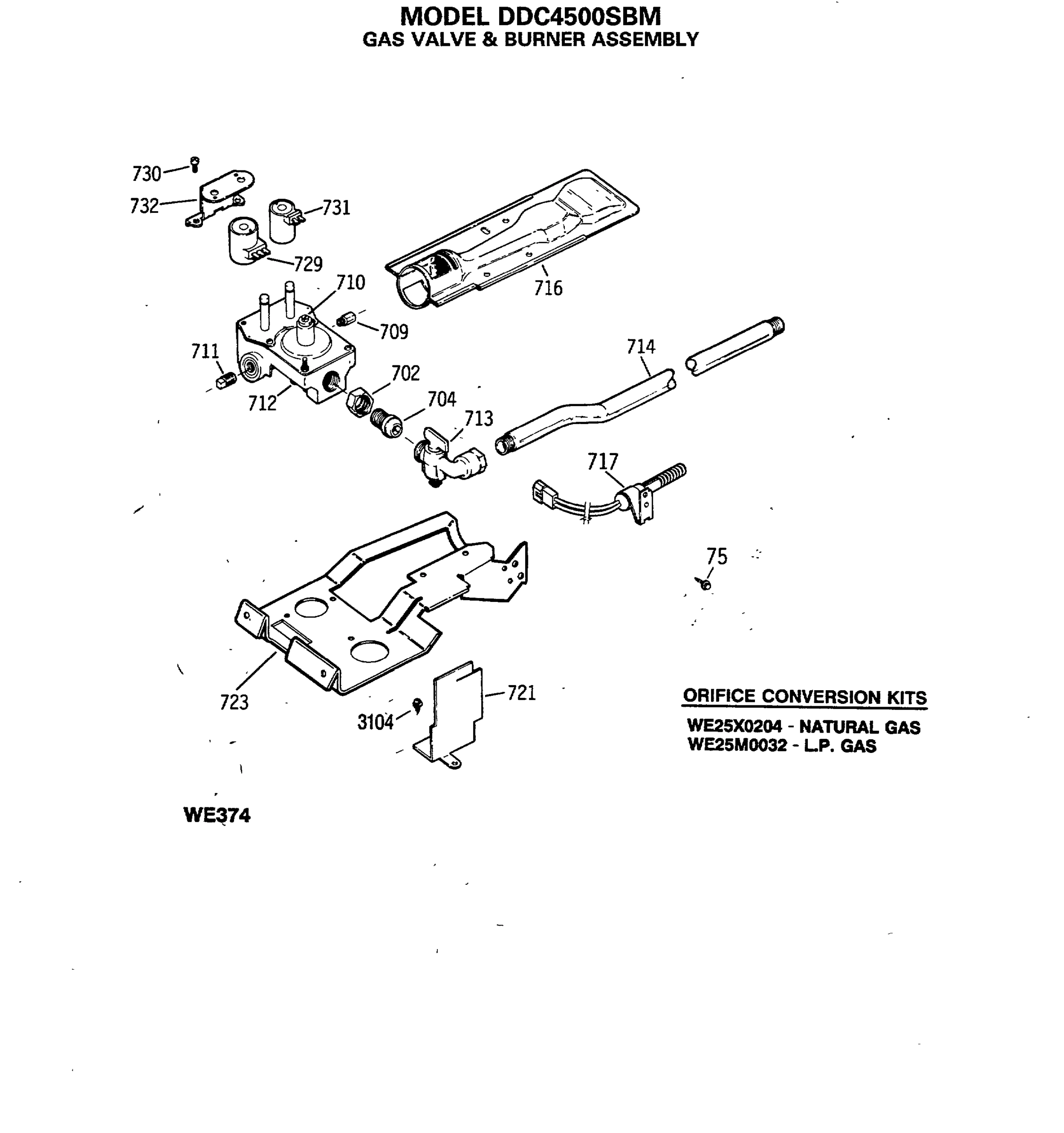 GAS VALVE & BURNER ASSEMBLY