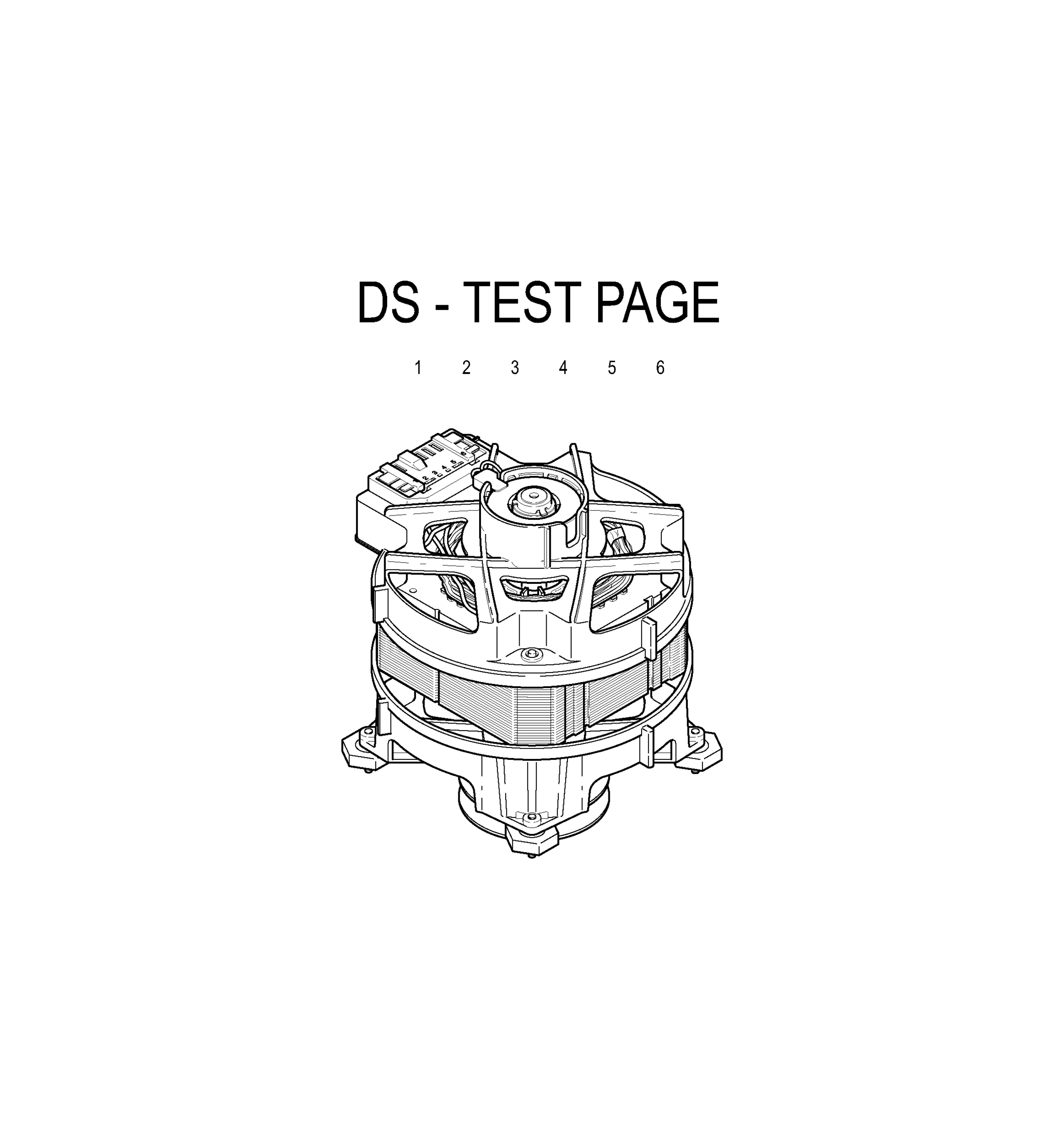 DS TEST PAGE