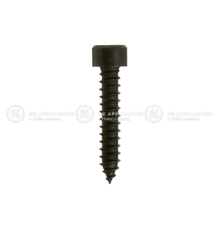 WB01X30451 GE Screw 8-18 AB SKT25 7/8