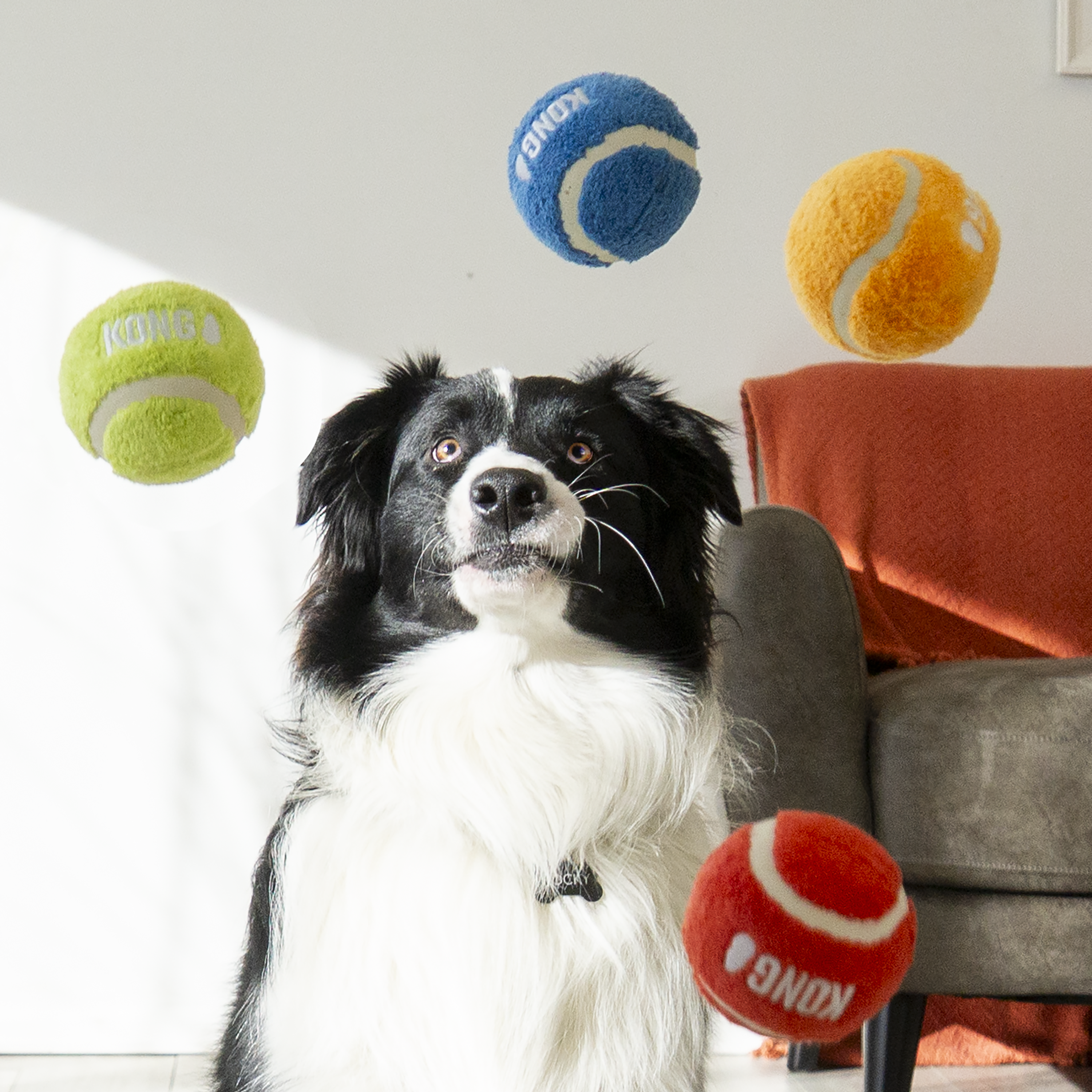 Sport Softies Ball Assorted Lifestyle Produktbild