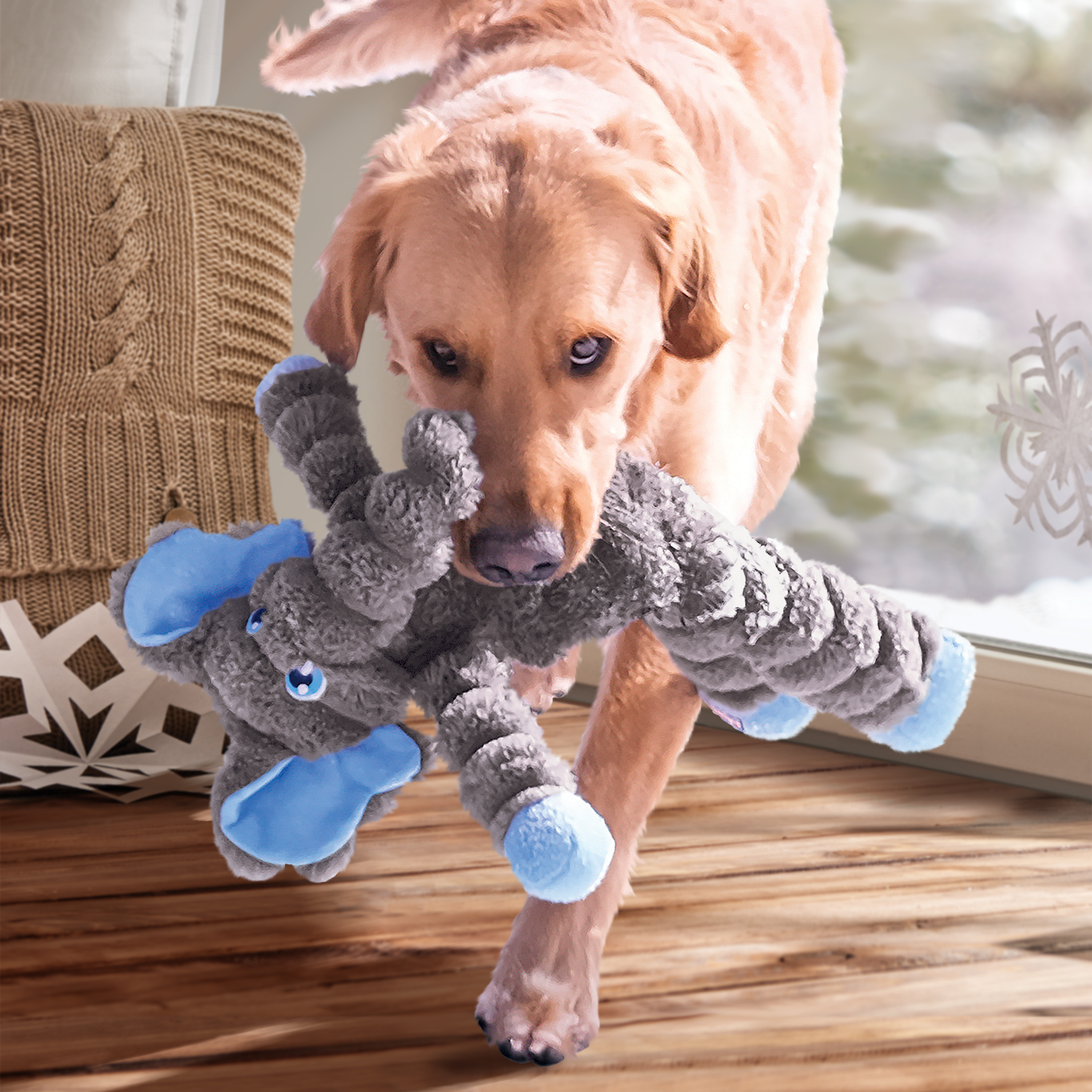 Kong stuffed deals toys for dogs