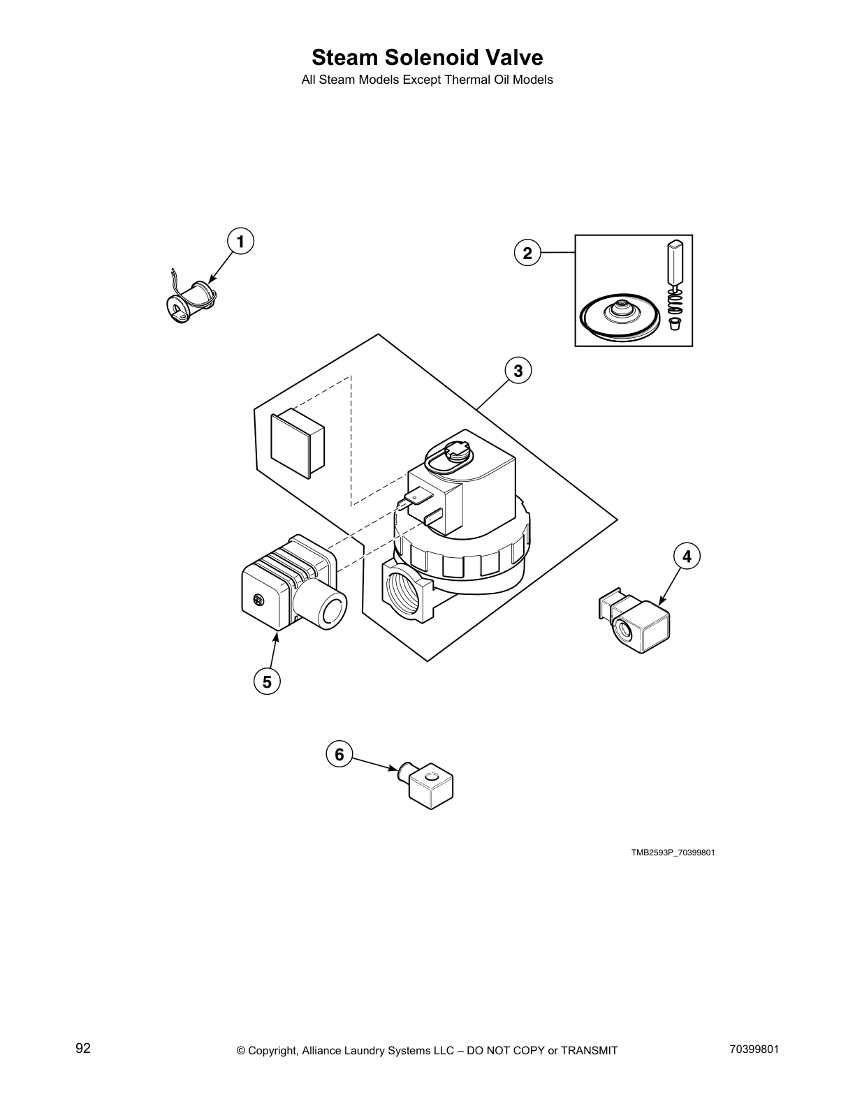 Steam Solenoid Valve