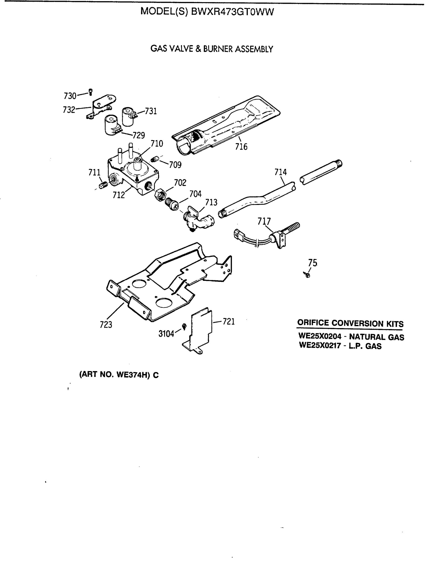 GAS VALVE & BURNER ASSEMBLY
