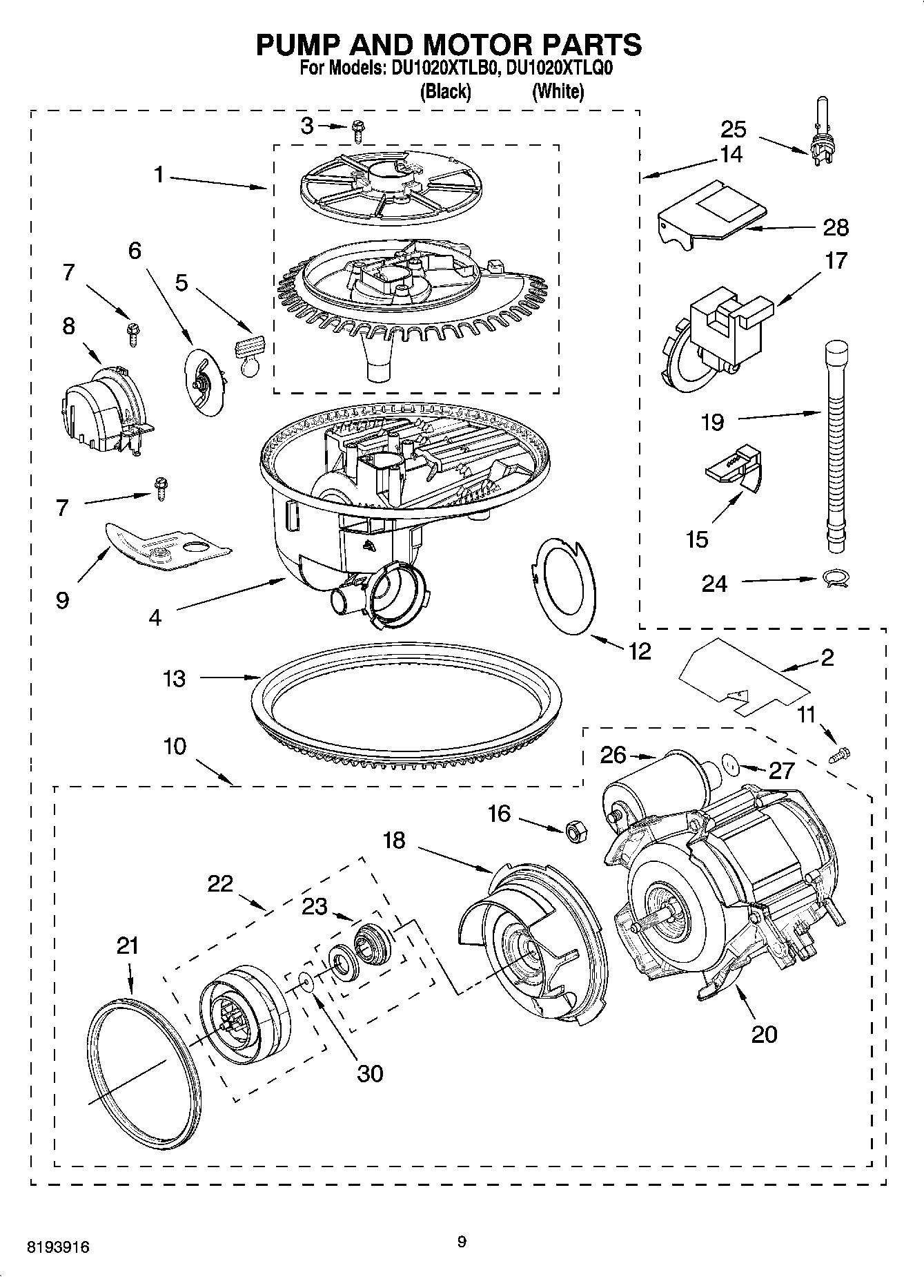 08 - PUMP AND MOTOR PARTS