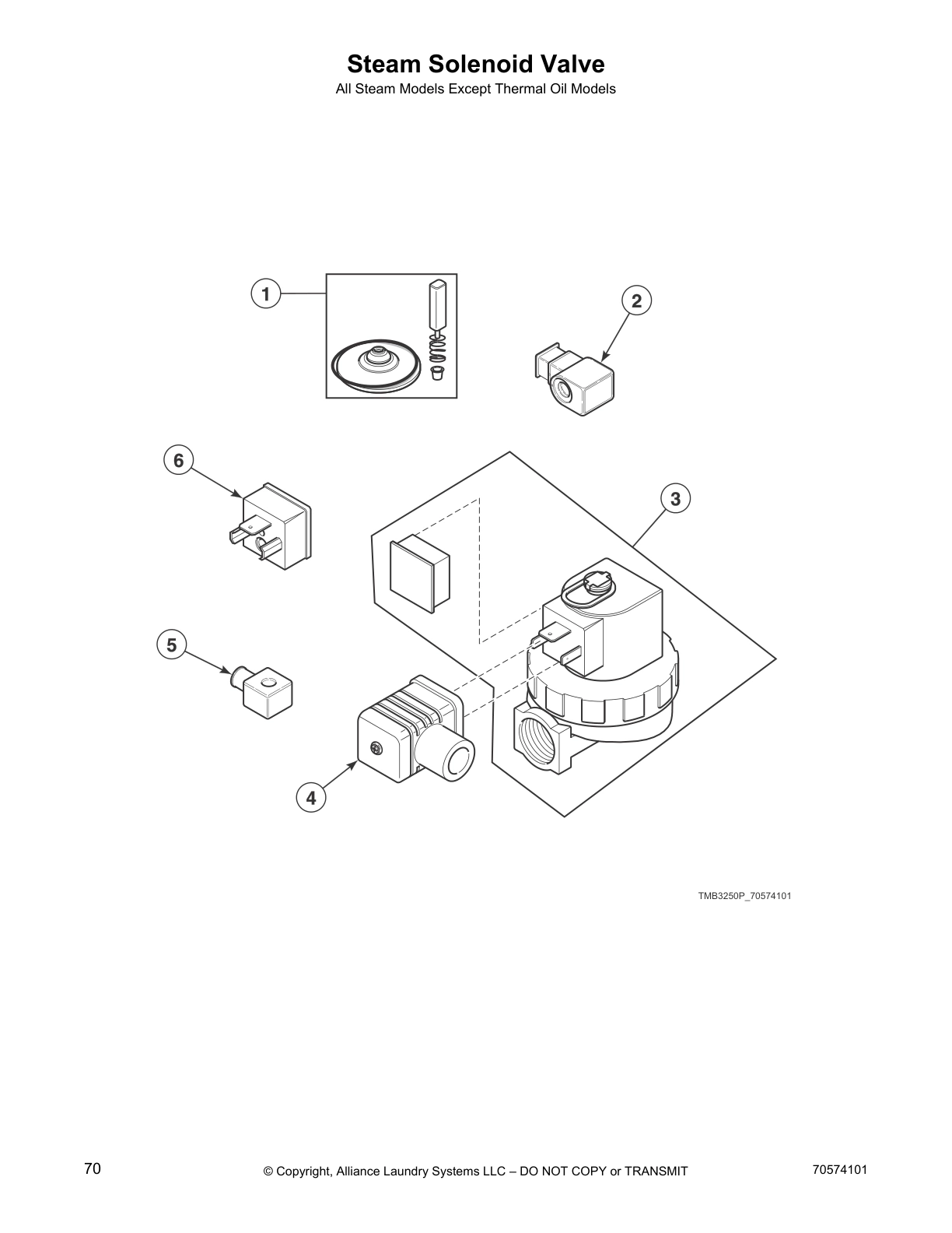 Steam Solenoid Valve