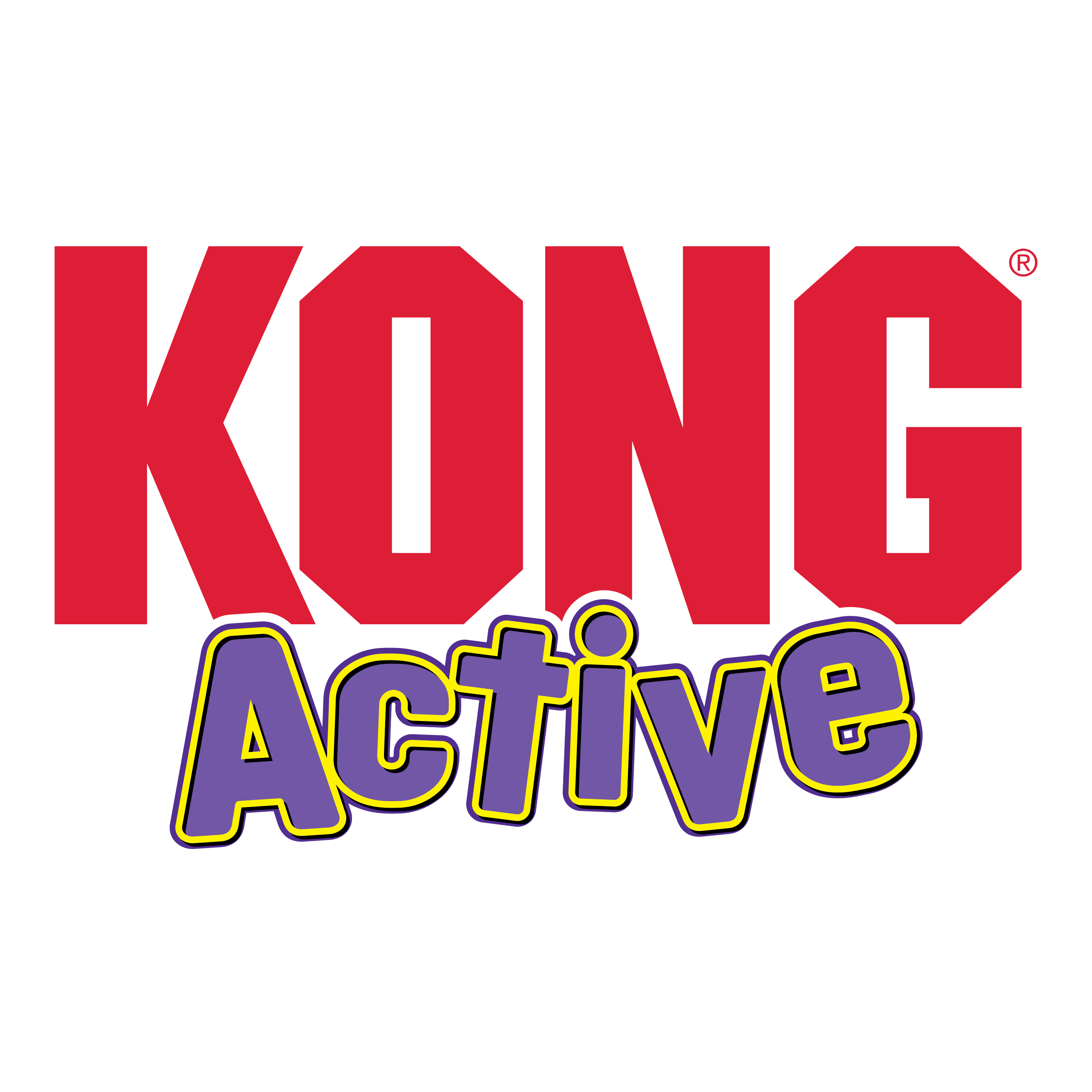 Cat Active Wild Tails KONG Company