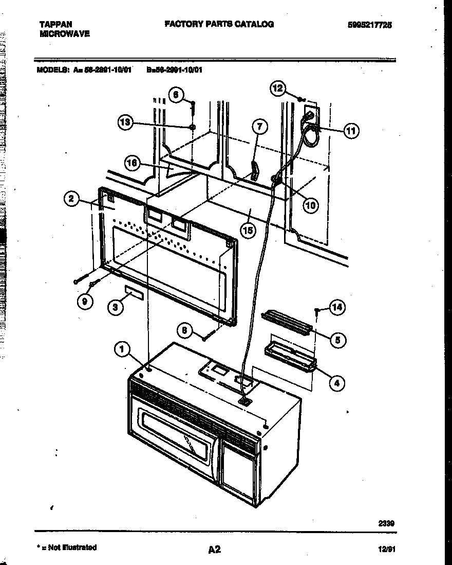 02 - OUTER BODY PARTS