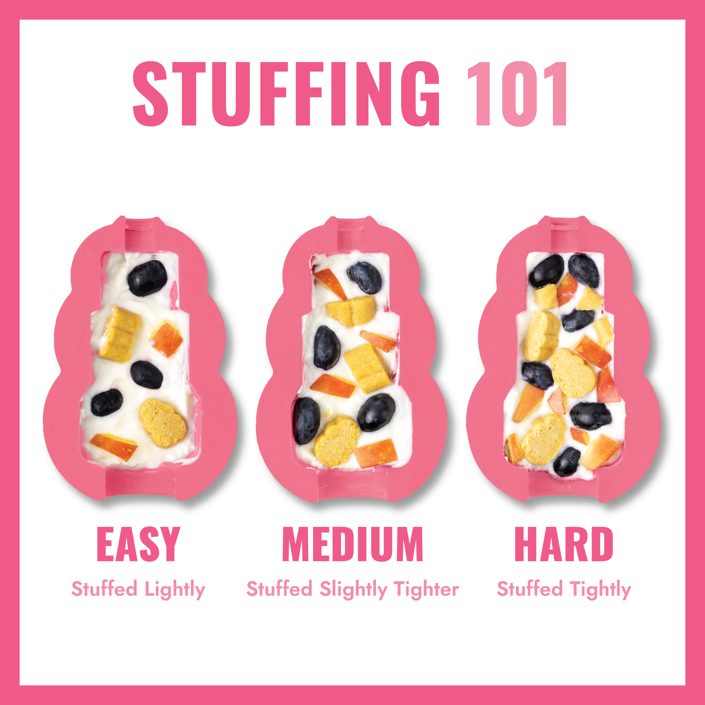 KONG Puppy Pink educational3 product image